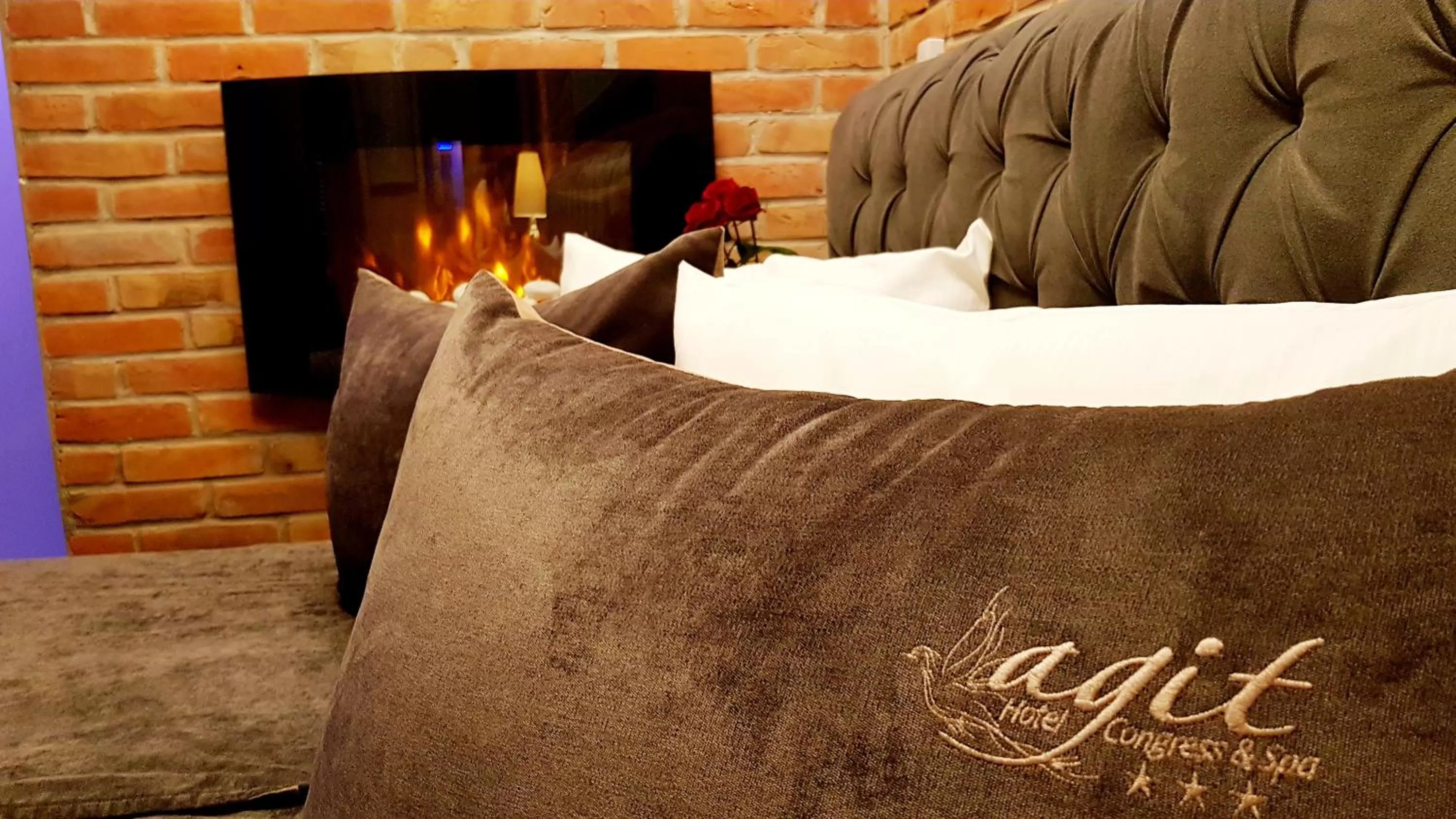 Photo of the whole room in Hotel Agit Congress&Spa