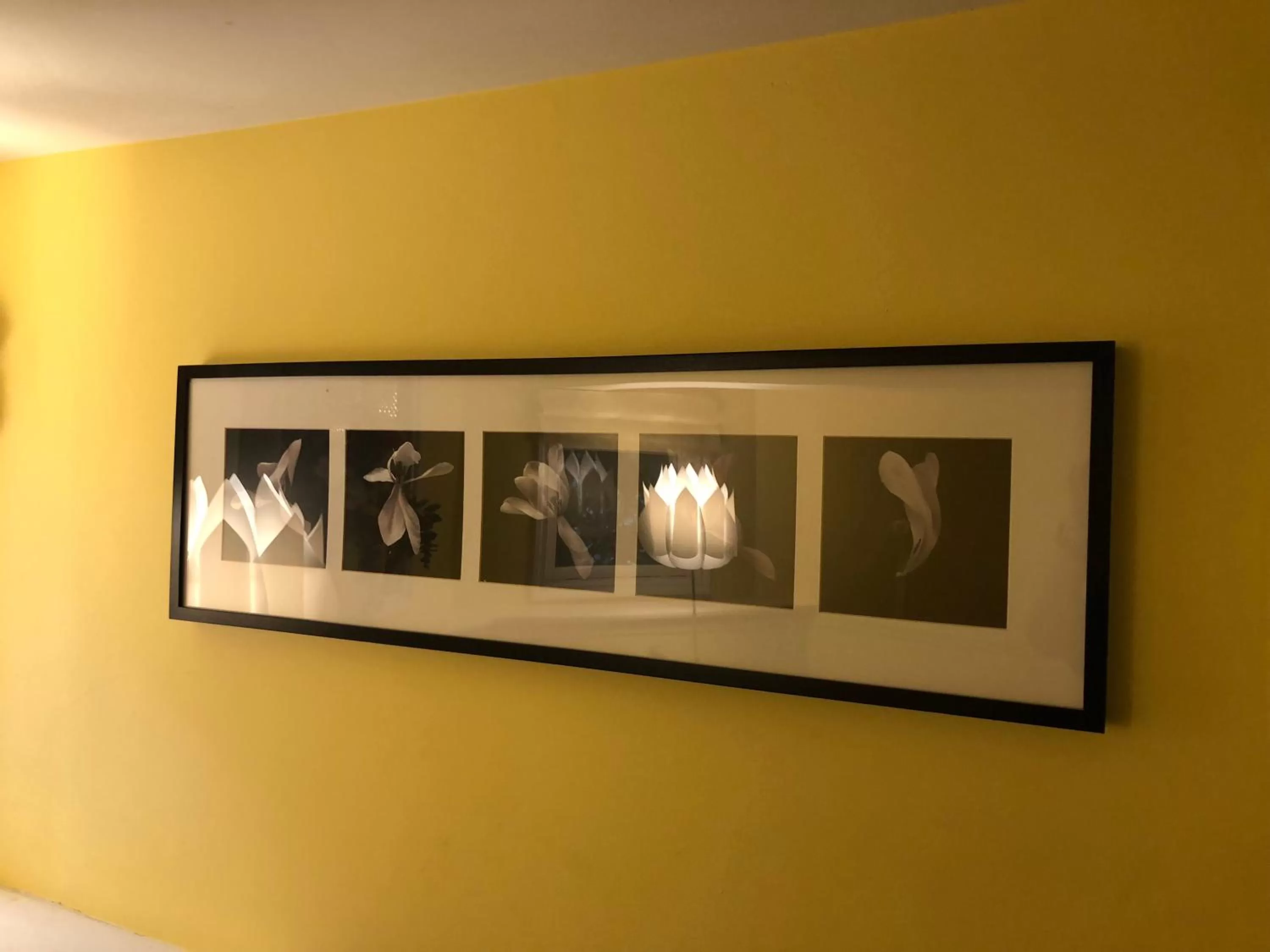 Decorative detail in Barclay House Bed and Breakfast