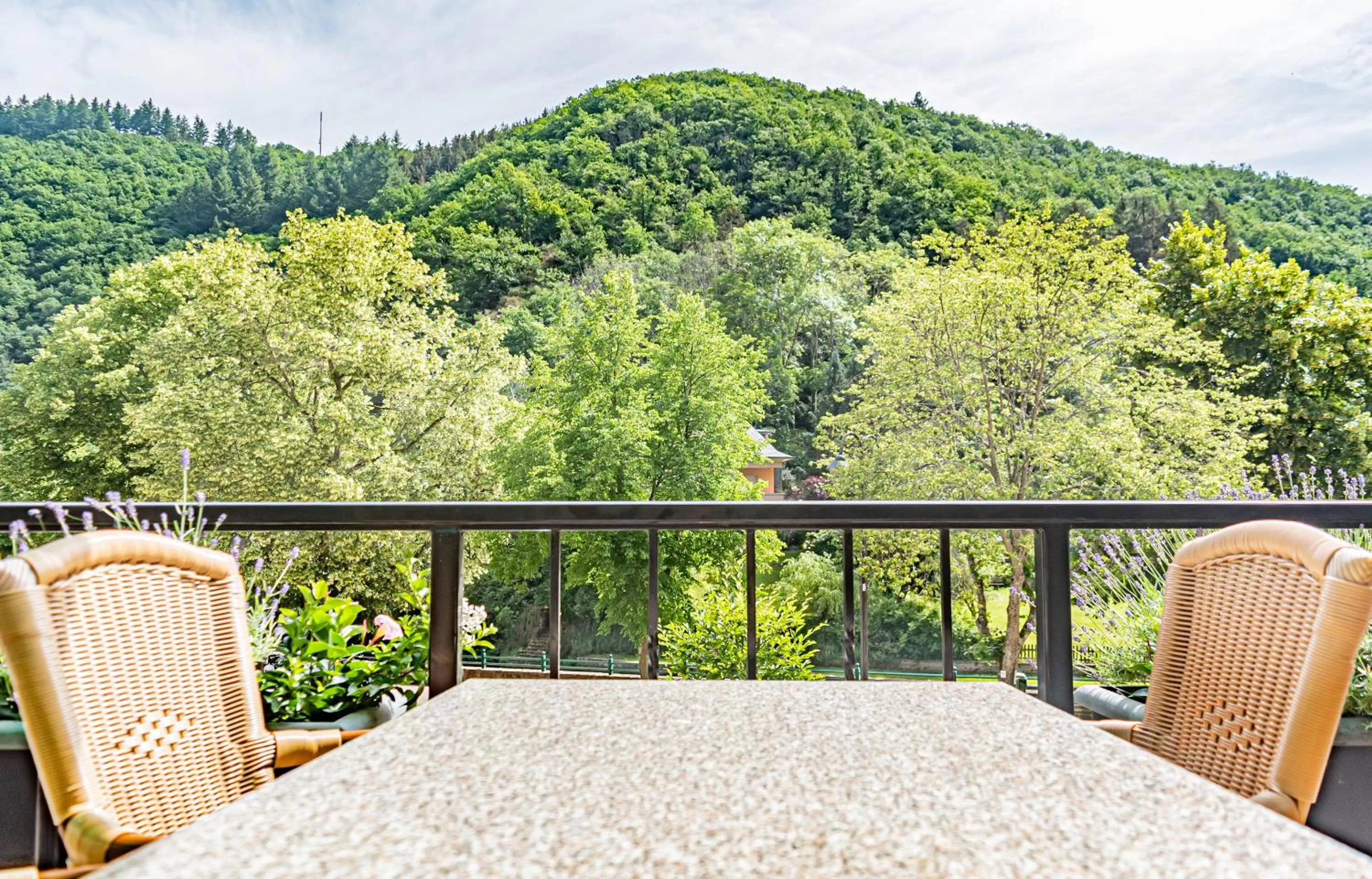 View (from property/room) in Hotel Le Postillon