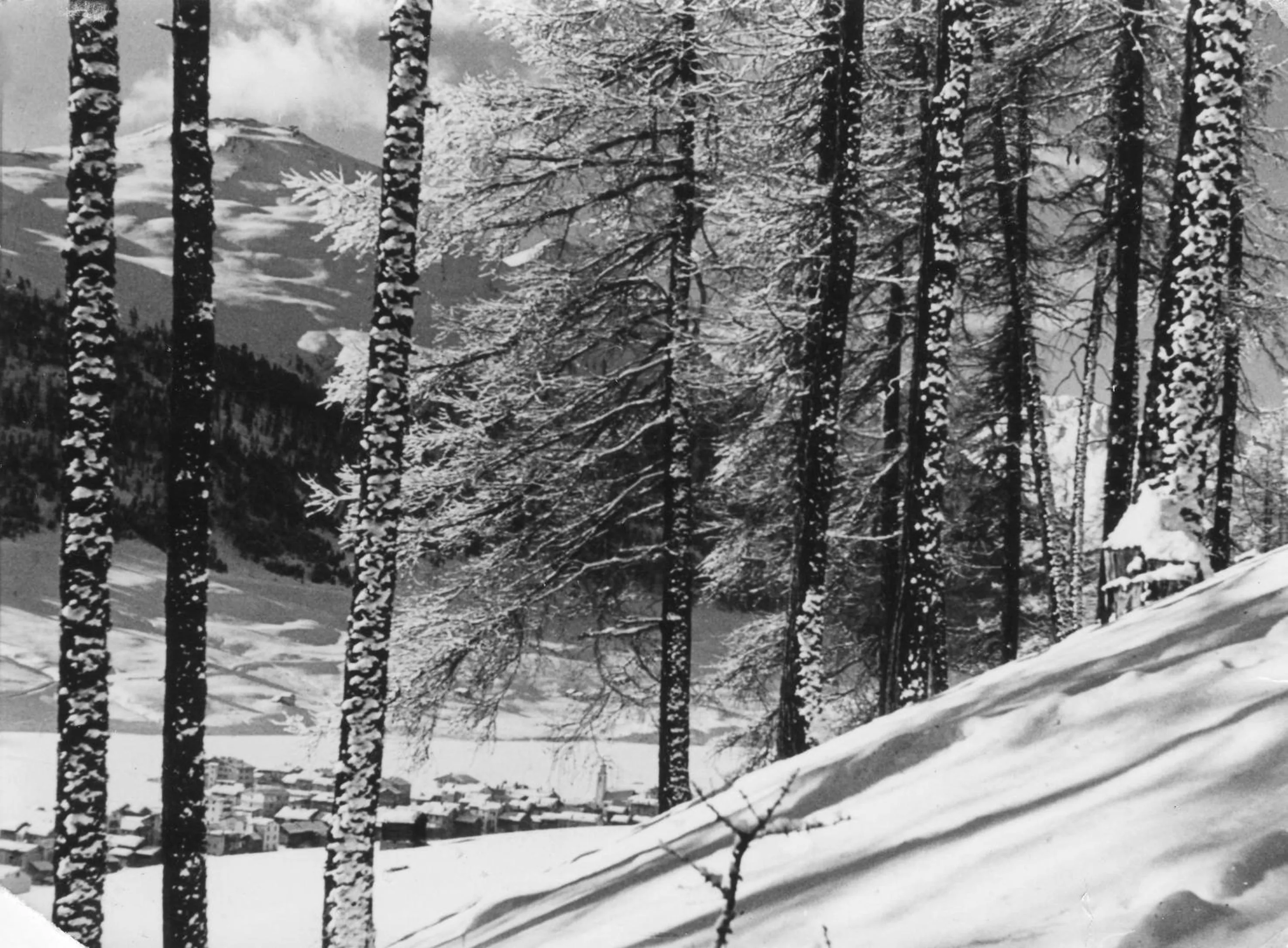 Area and facilities in Hotel Livigno