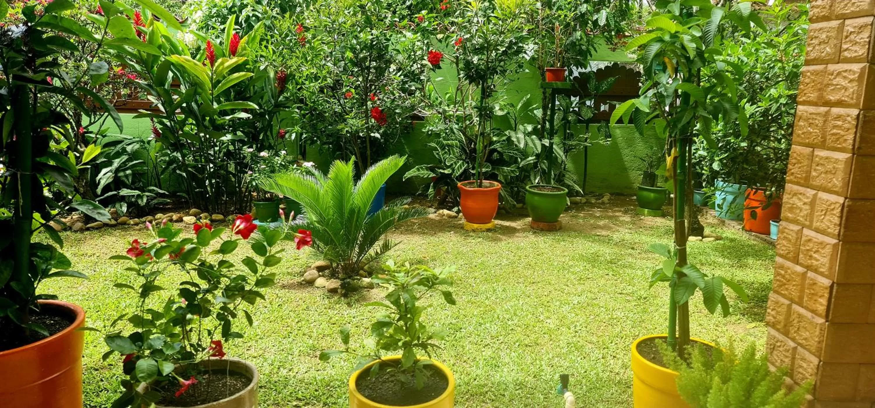 Garden view, Garden in Pousada Flor de Paraty