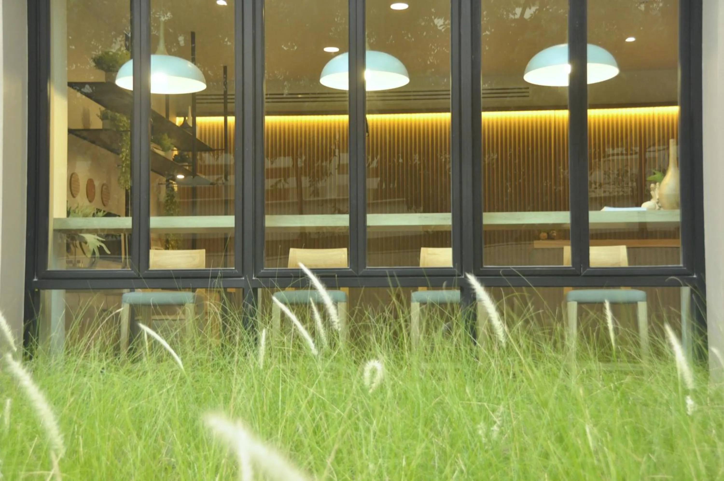 Garden in The Journey Hotel Laksi