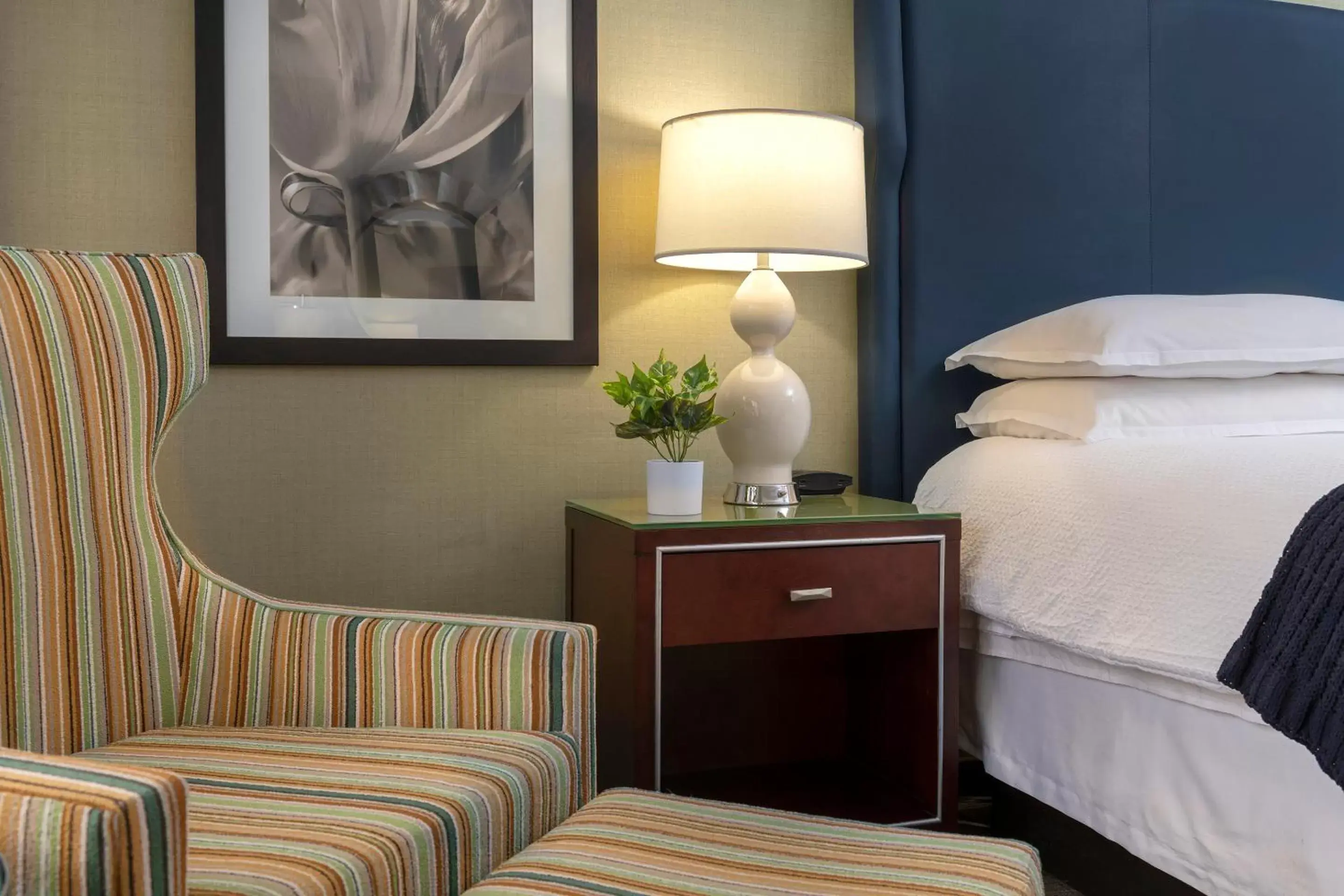 King Room - Disability Access in The Stamford Hotel King Room - Disability Access in The Stamford Hotel