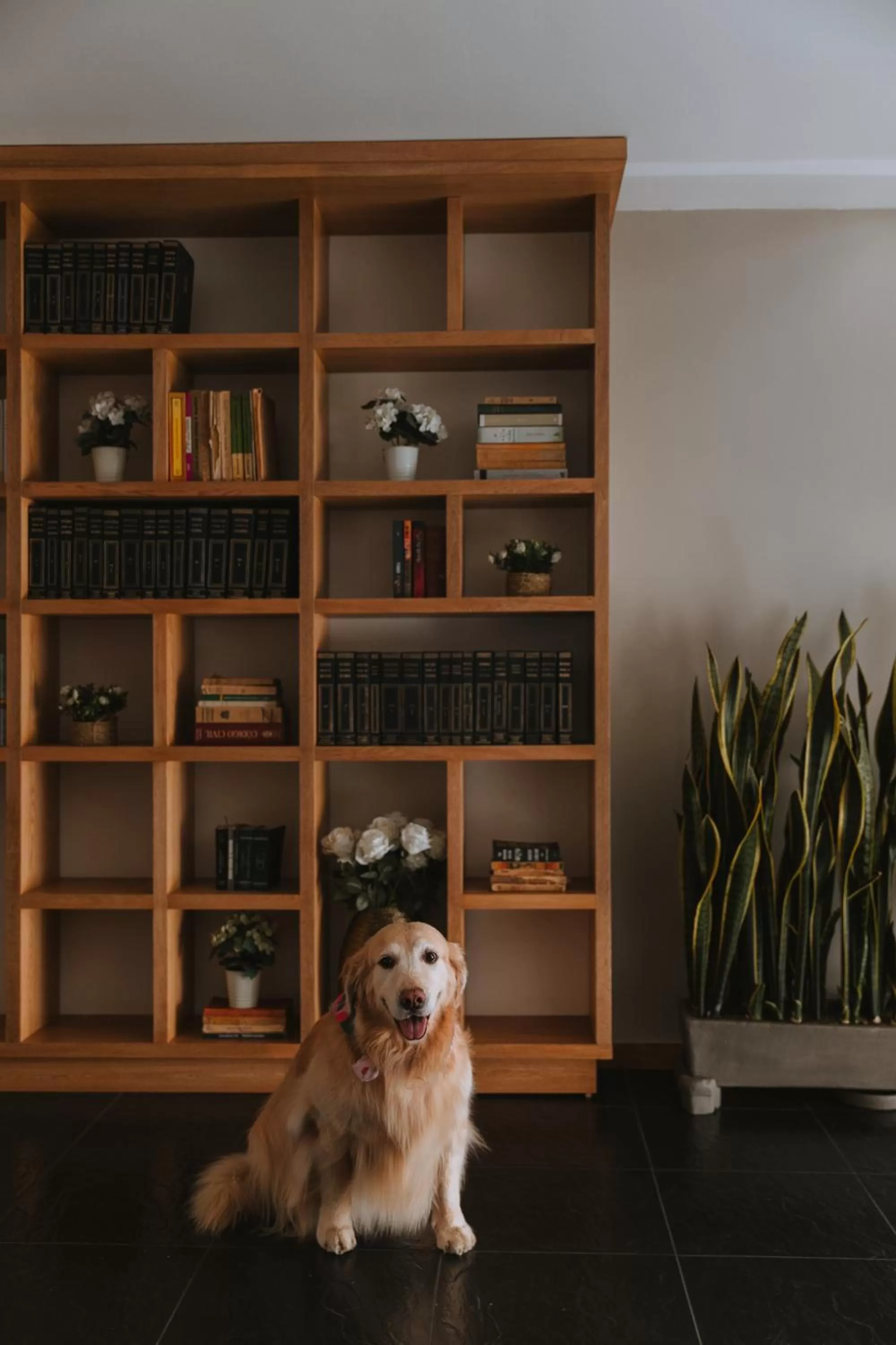 Library in Travelers Orange Suites