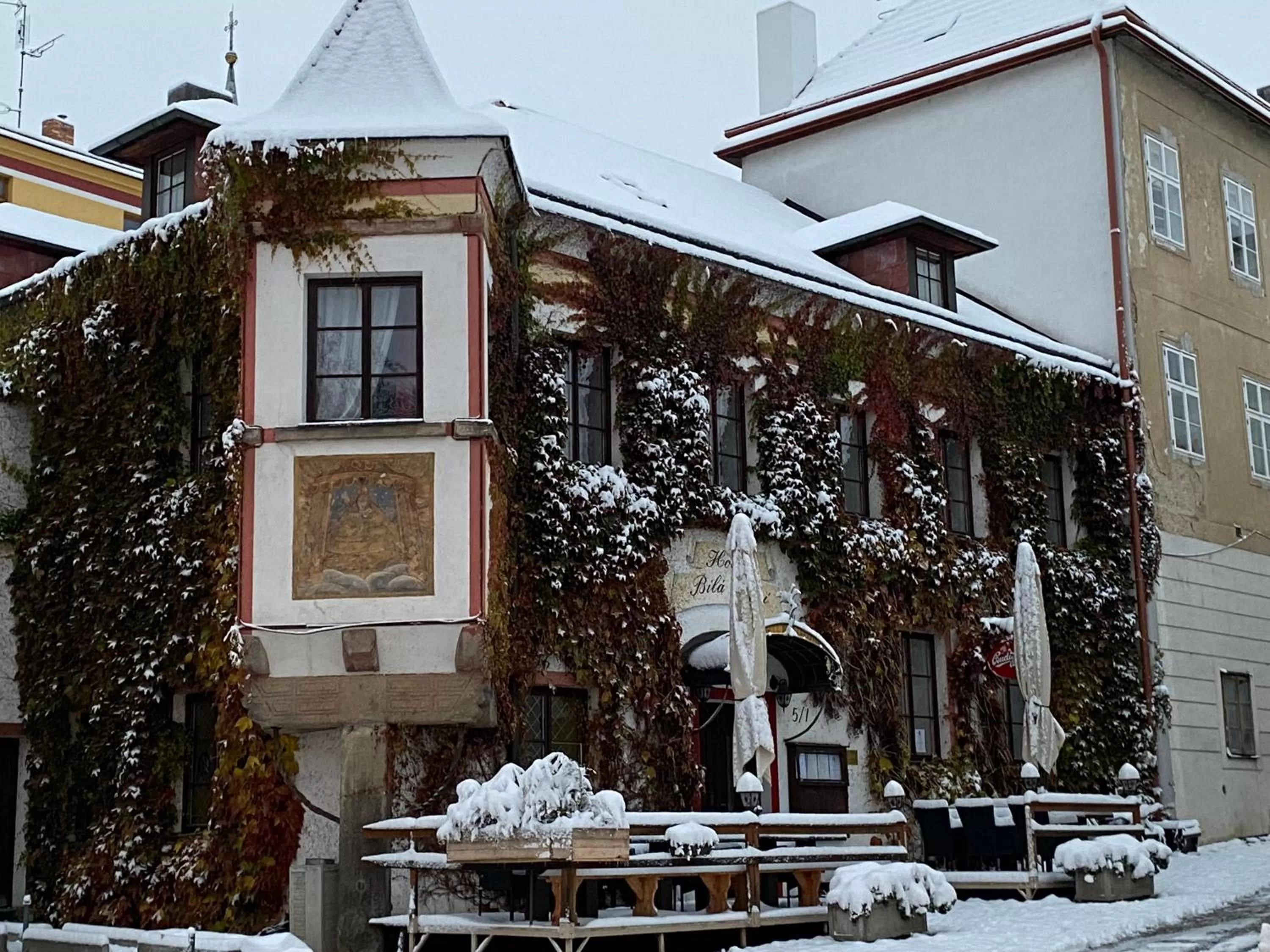 Property building, Winter in Hotel Bílá Paní