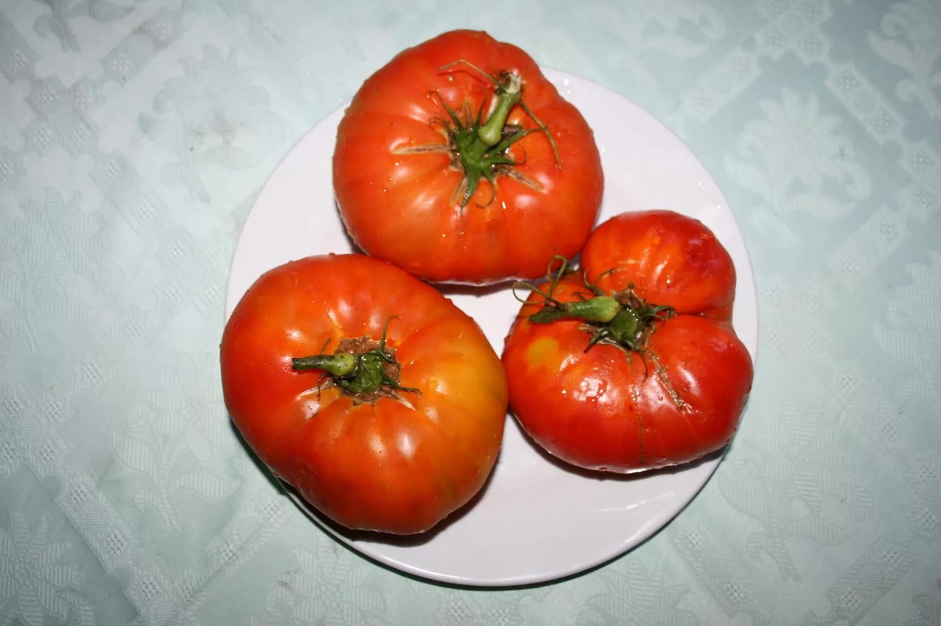 Food close-up in Hotel Rural La Enoteca del Marques