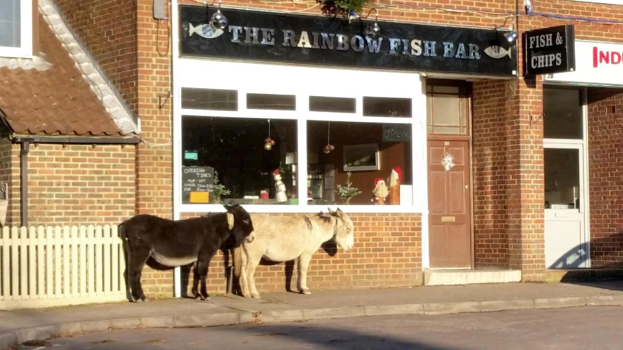 Off site in Wildwood B&B