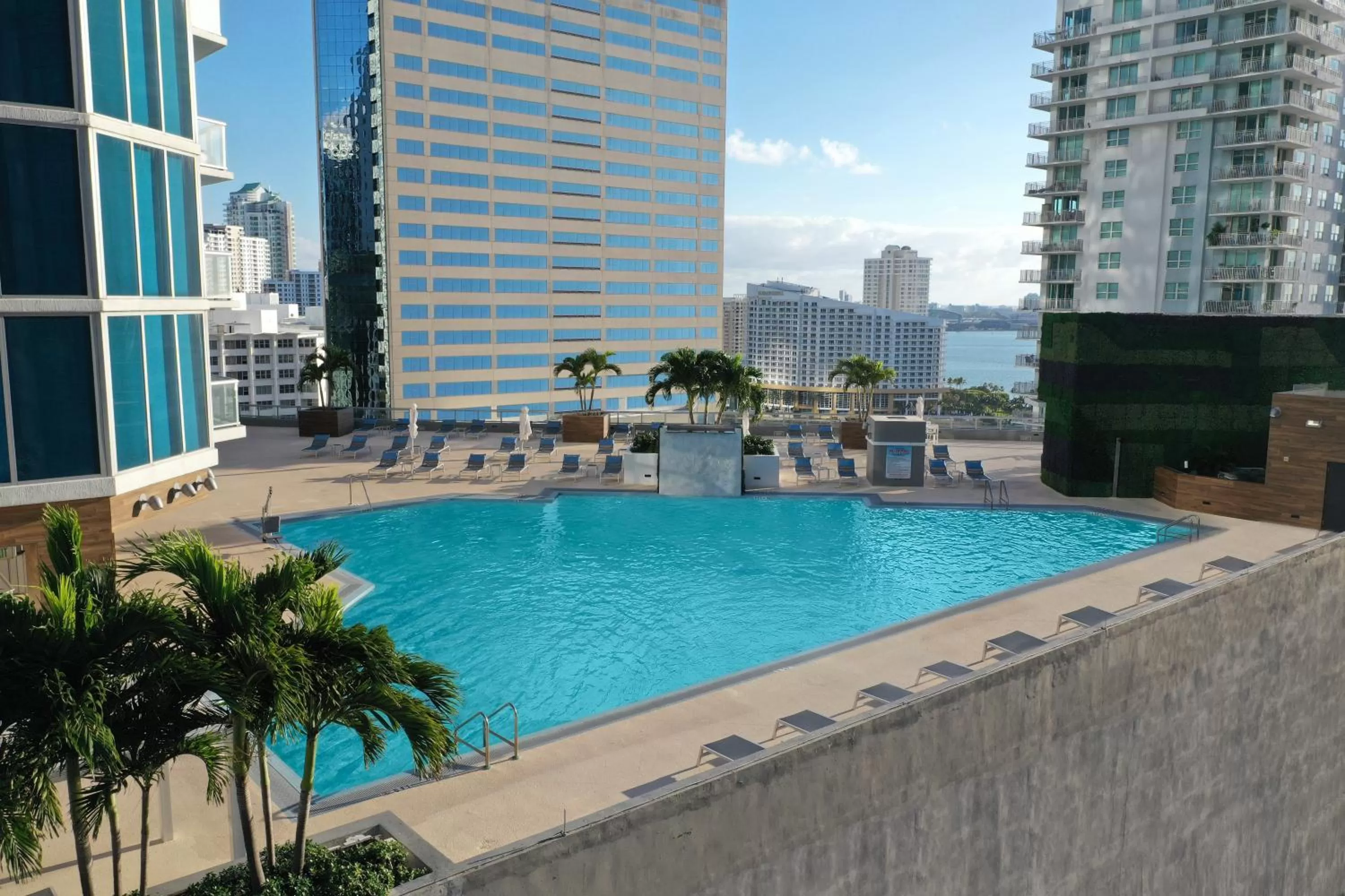 Swimming pool in Hyatt Centric Brickell Miami