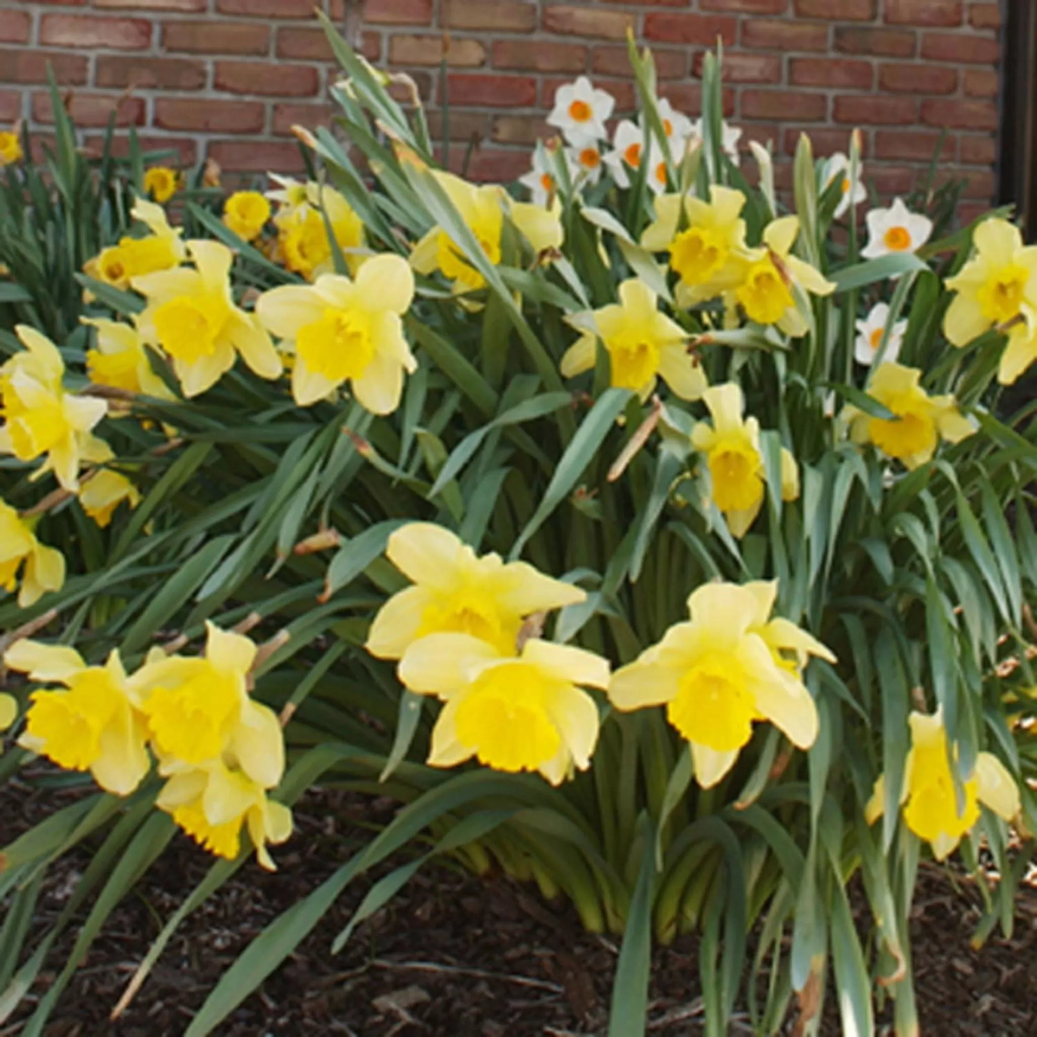 Decorative detail in Meadow Court Inn - Ithaca