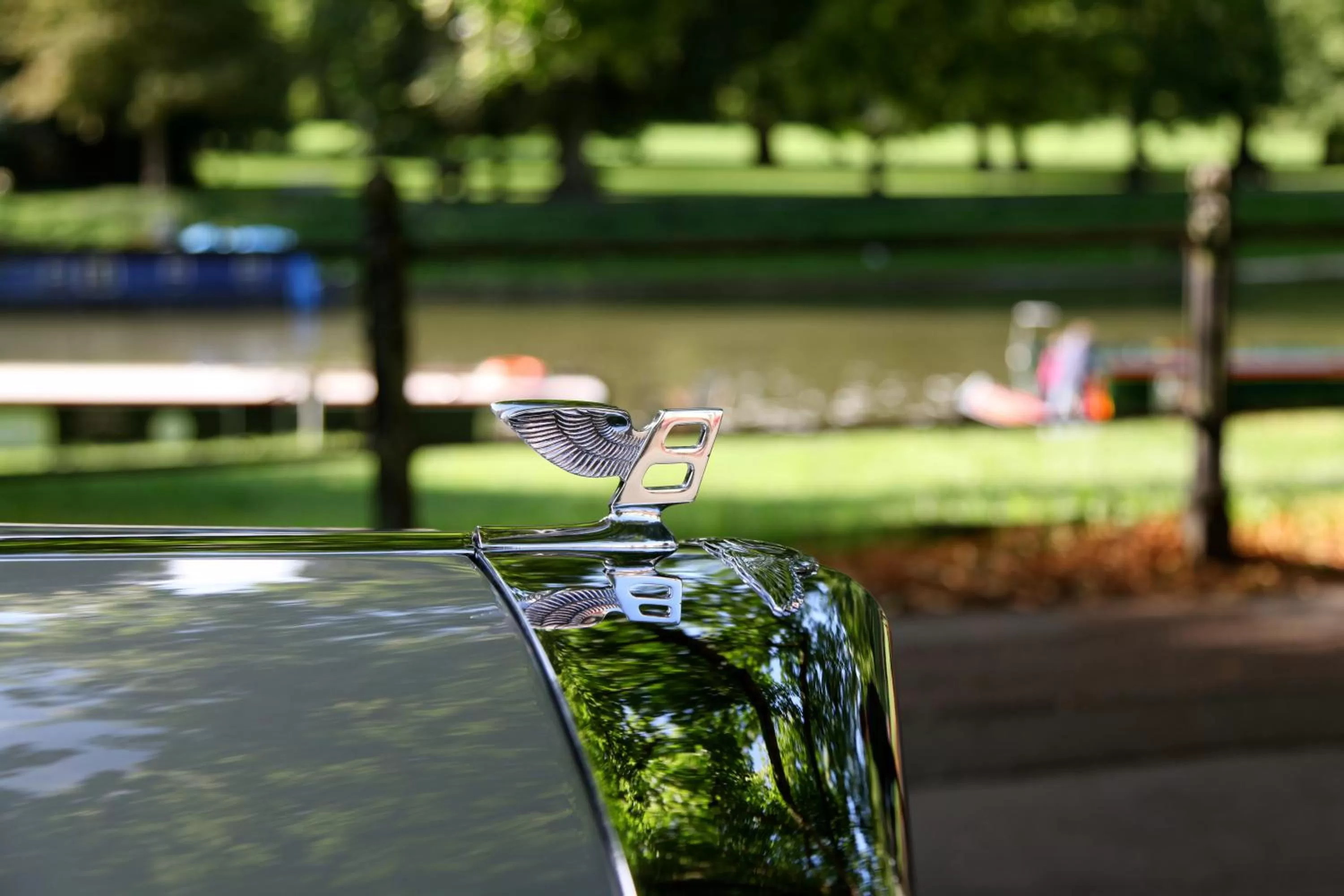 Natural landscape in Gonville Hotel