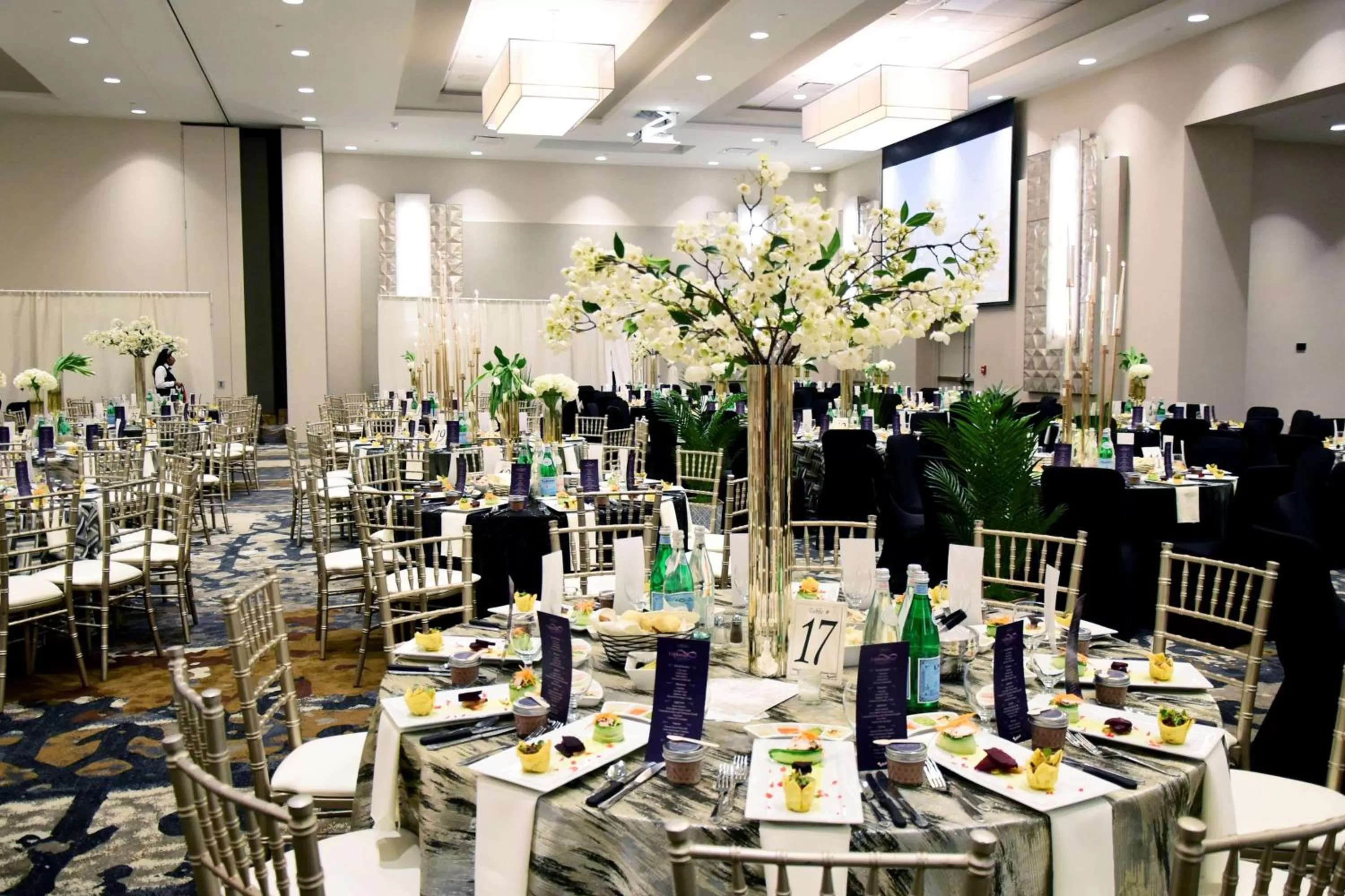 Meeting/conference room in DoubleTree By Hilton Baltimore North Pikesville