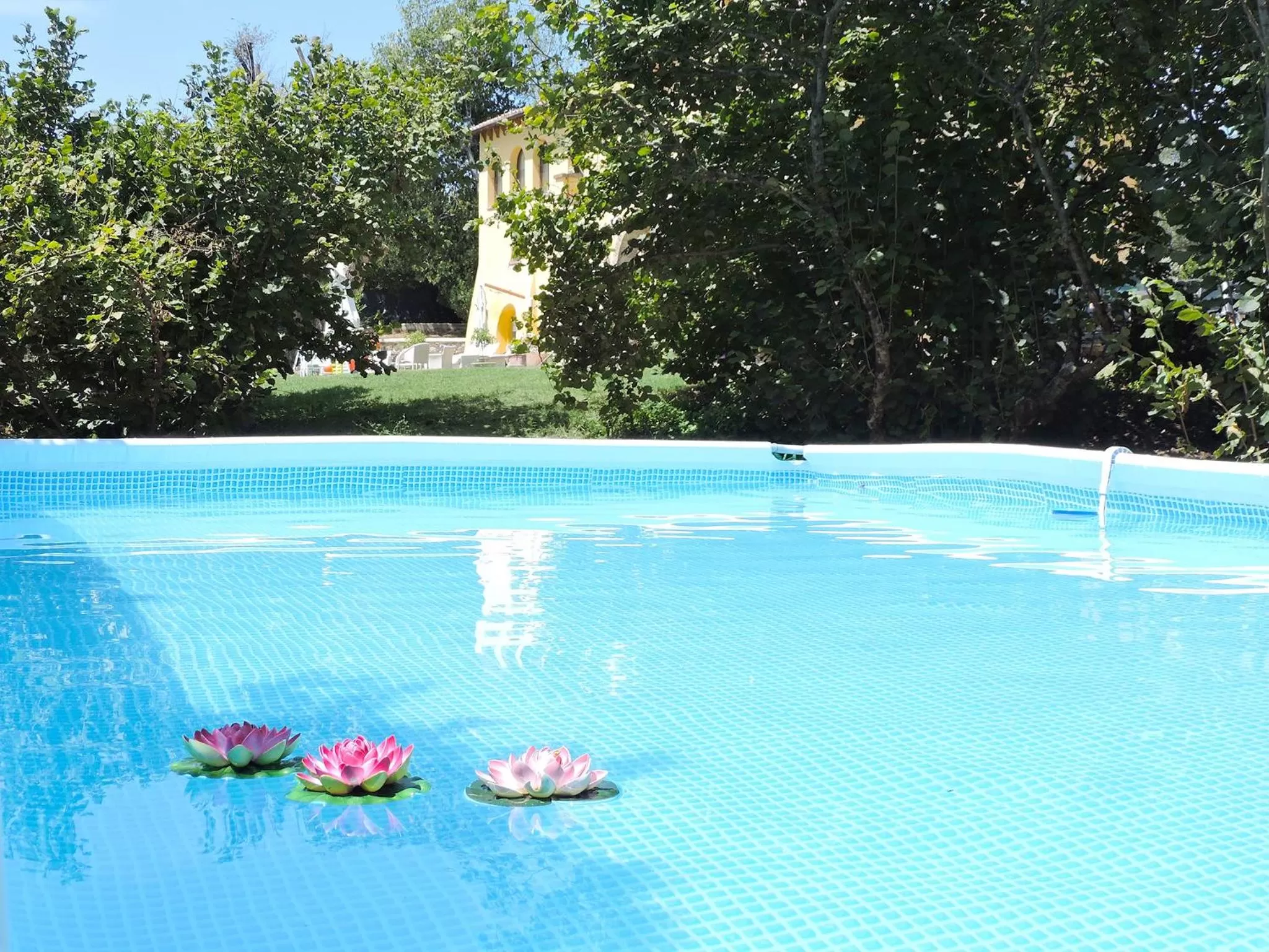 Swimming pool in Casale Fedele Relax B&B Vicino al Borgo