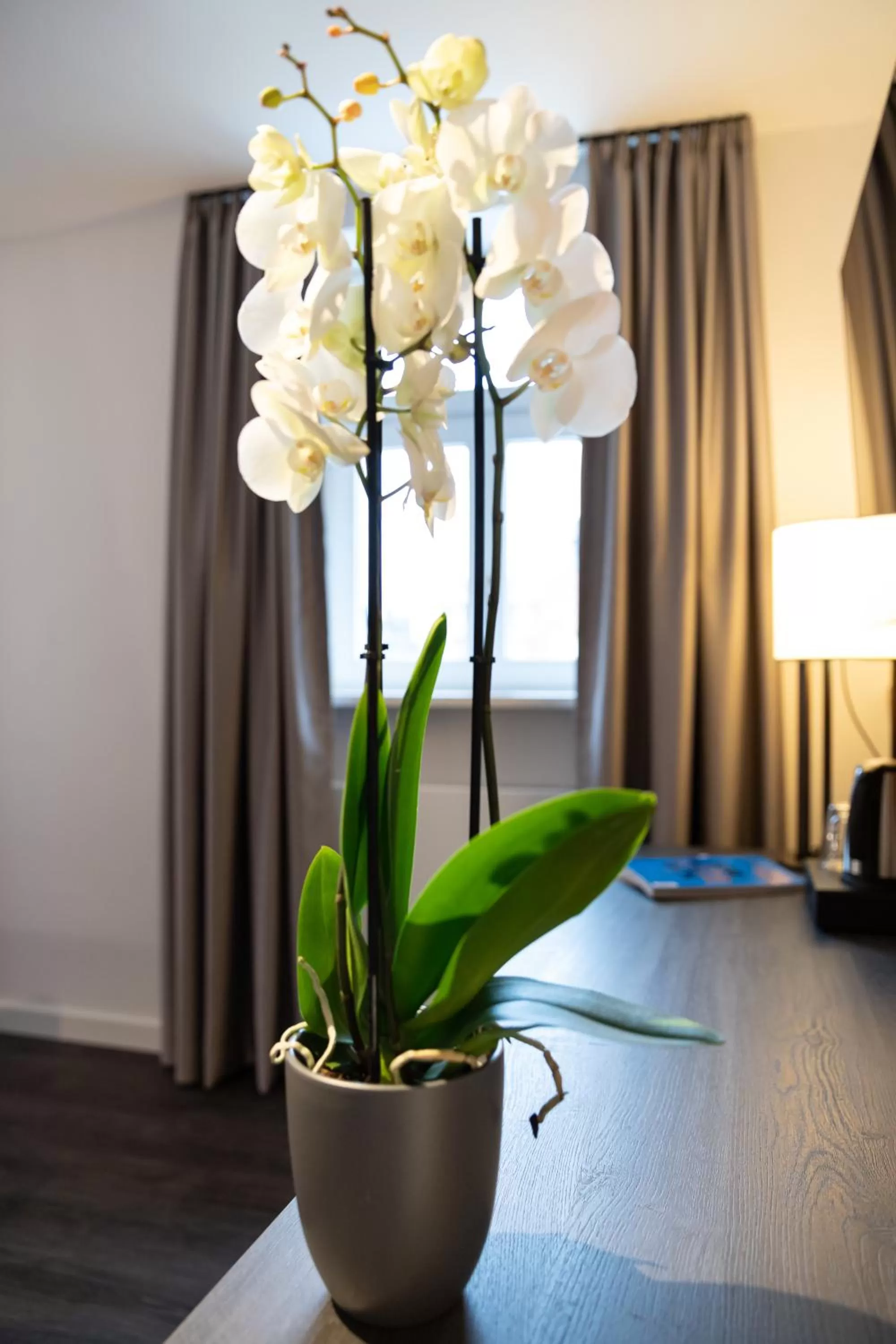 Living room in Hotel Weißes Ross