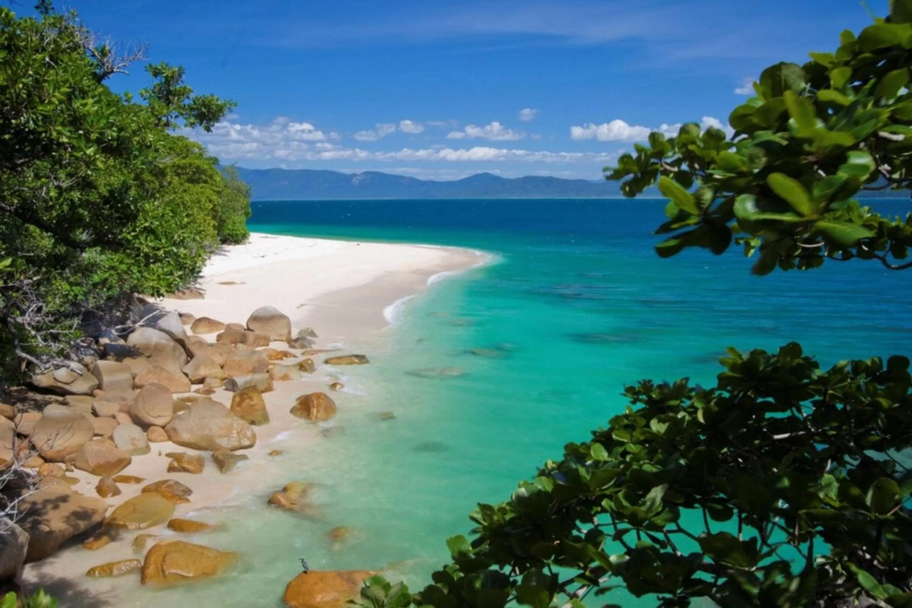 Beach in Fitzroy Island Resort