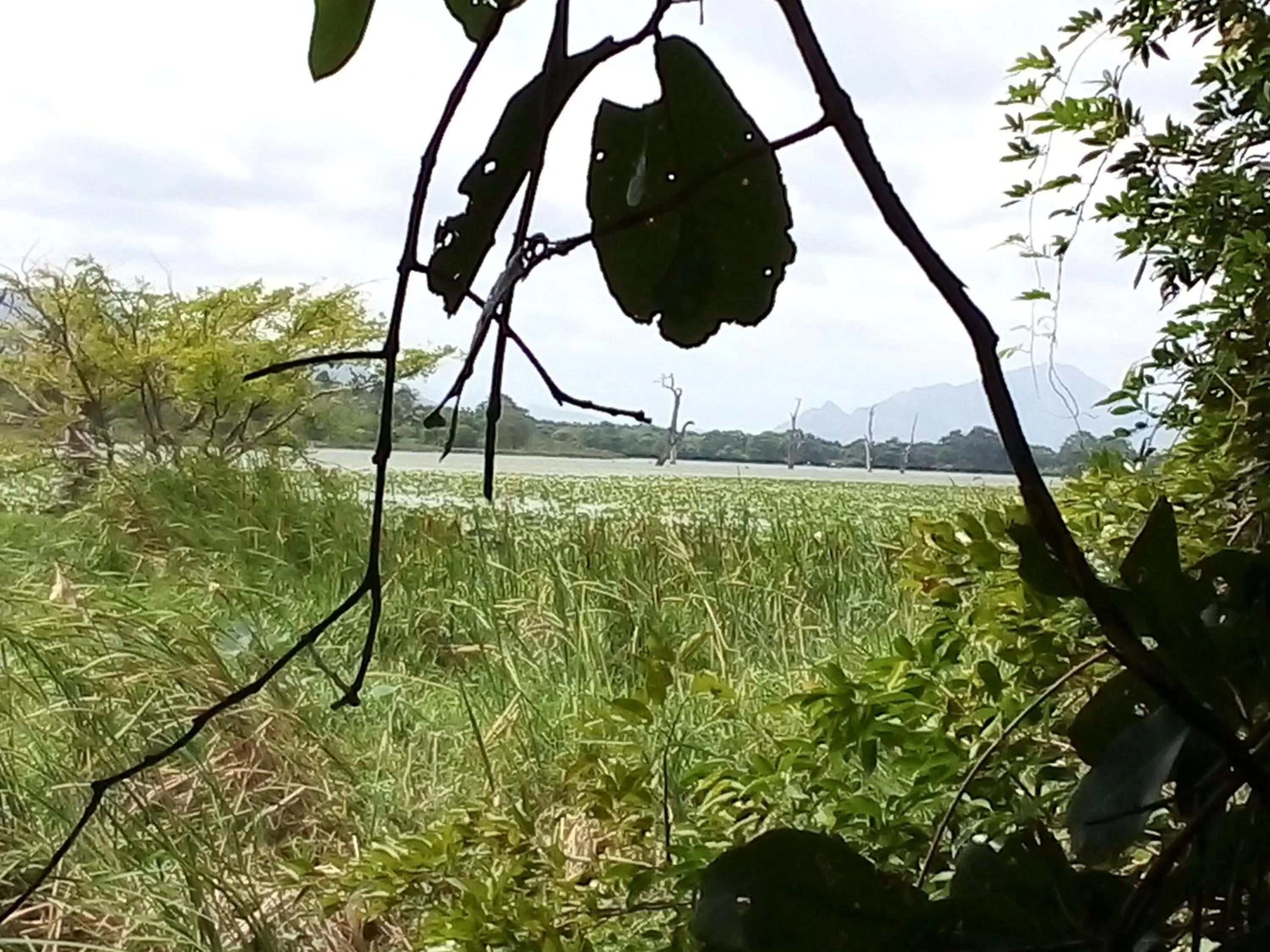 Nearby landmark in Lake Bliss