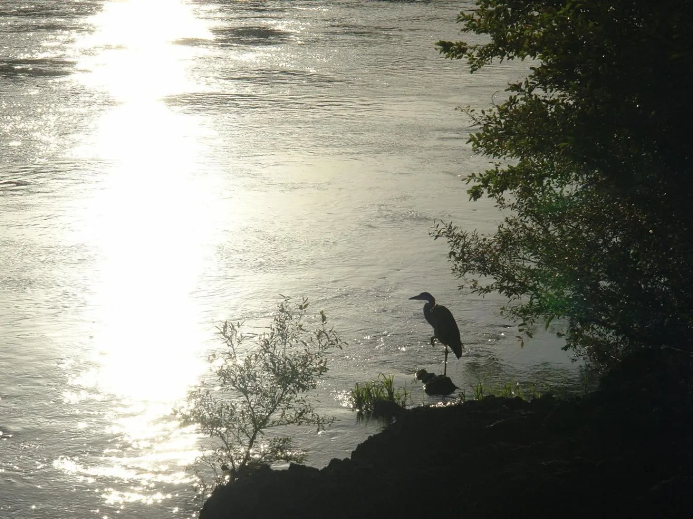 Off site in Hanayashiki Ukifune-en
