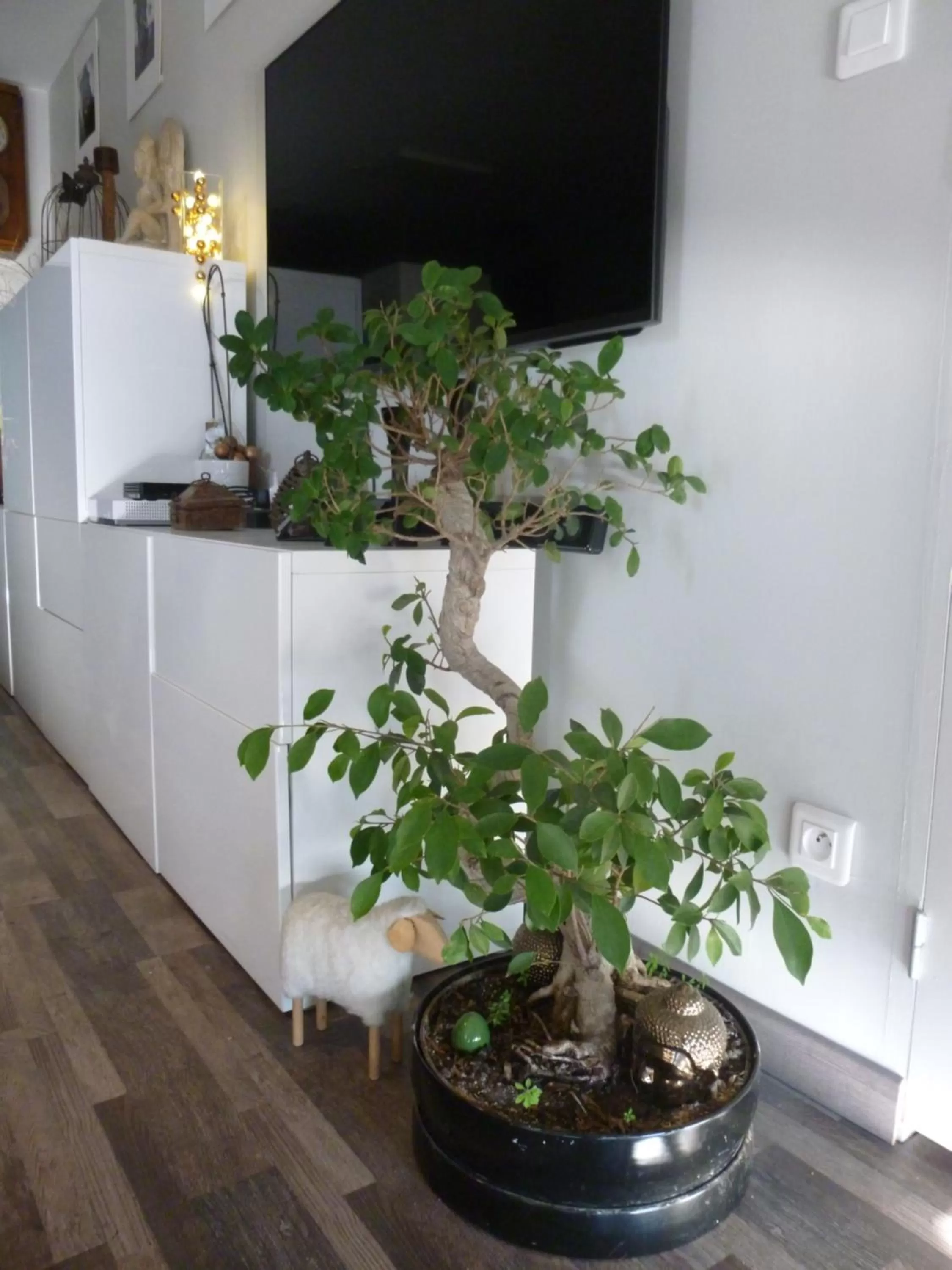 Decorative detail in 1 Chambre, 1 P'tit dèj', 1 Sourire