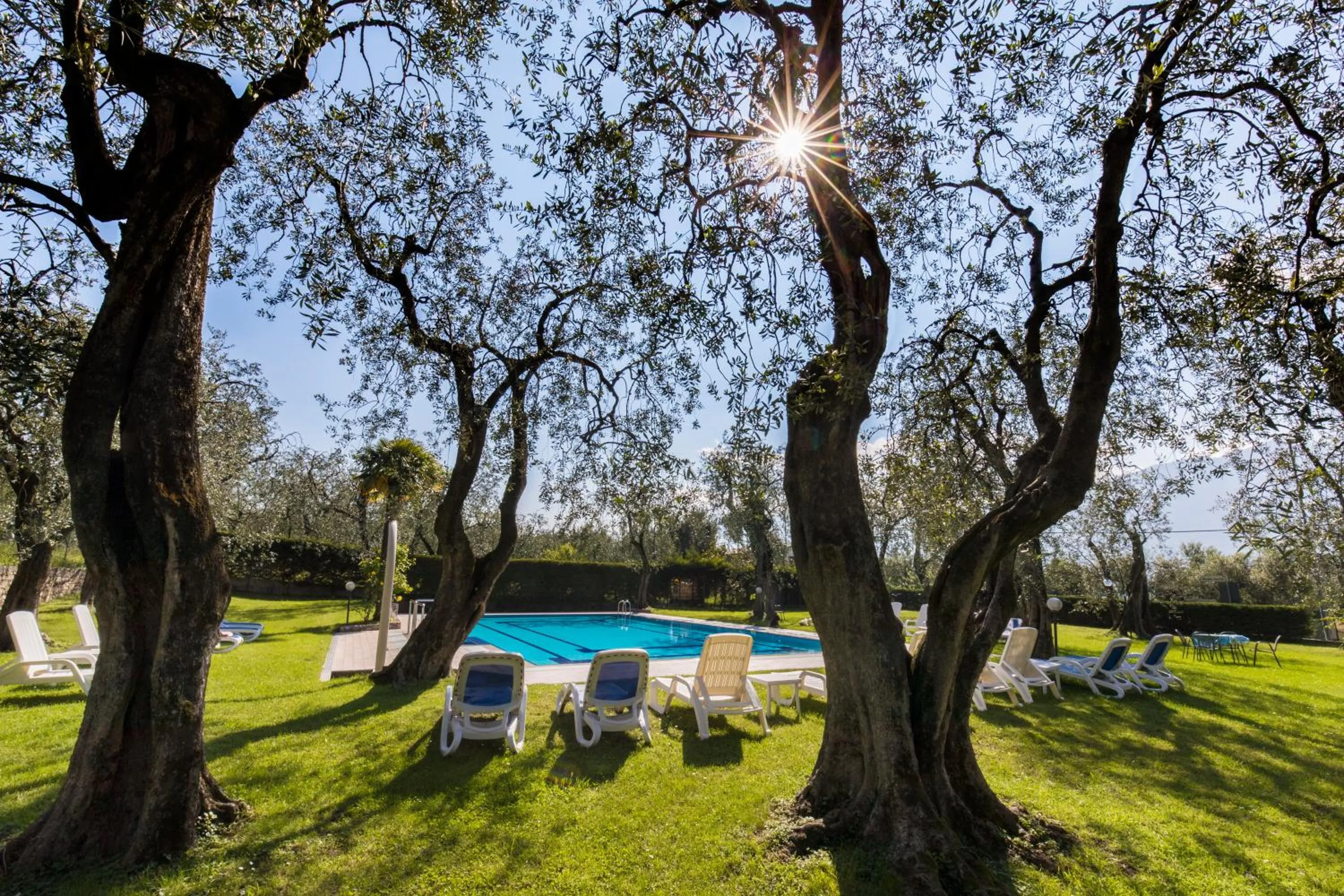 Garden in Garnì Casa Rabagno