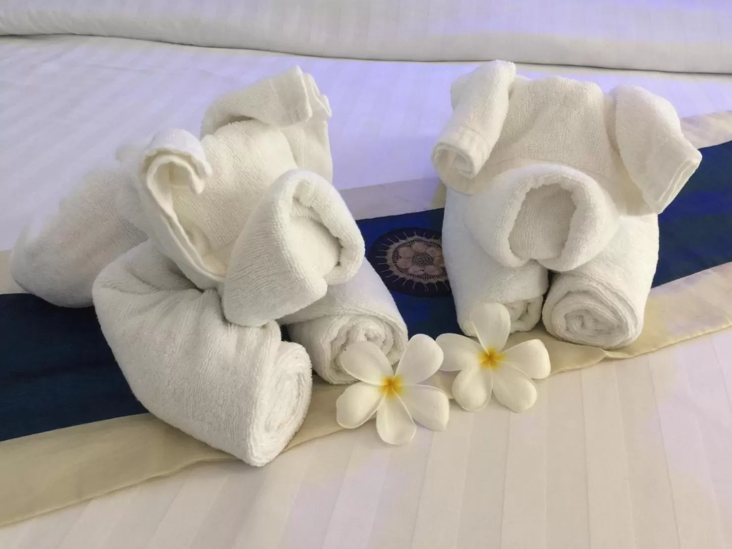 Bed in Bamboo House Resort