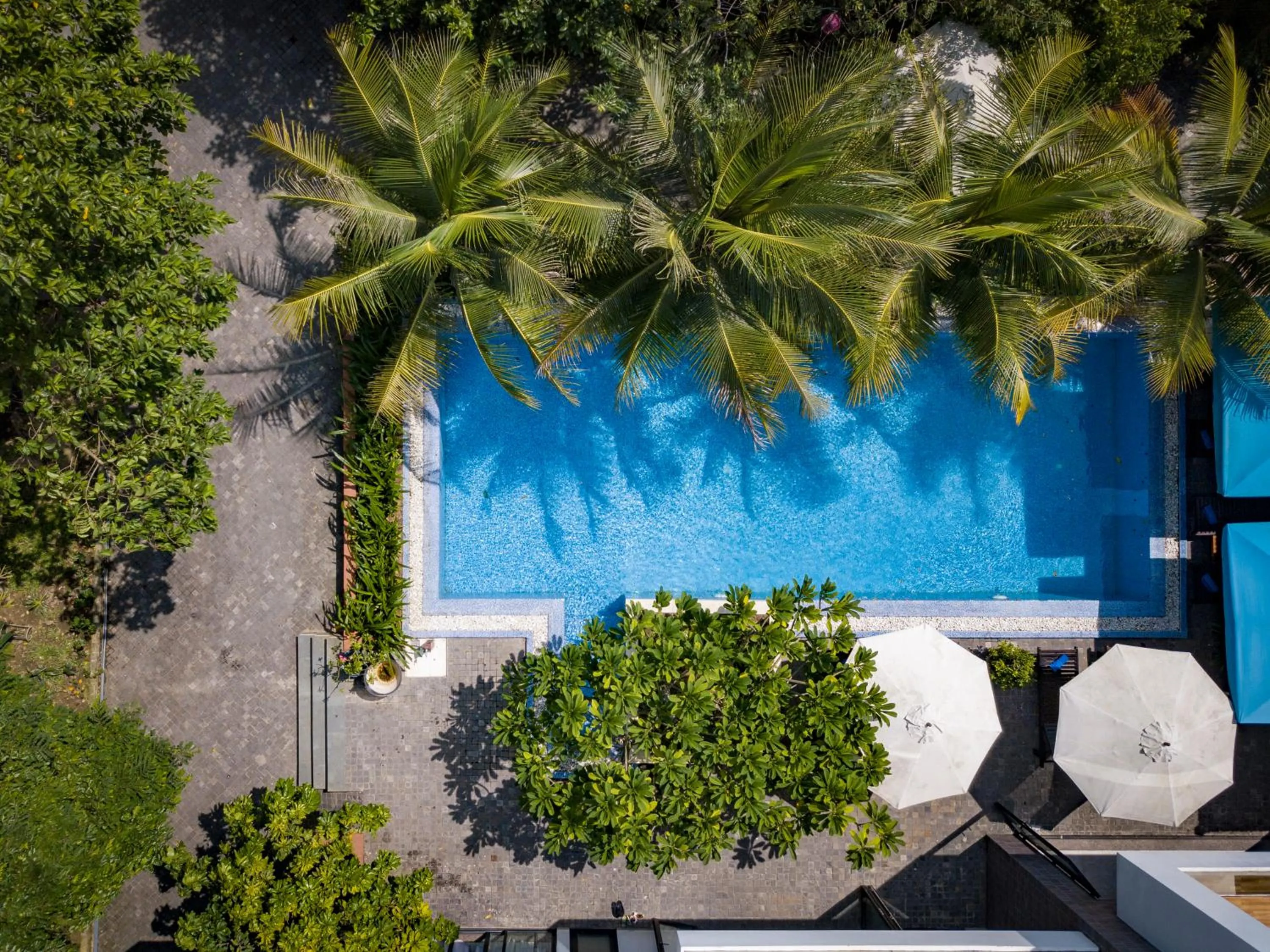 Swimming pool in Hoi An Reverie Villas
