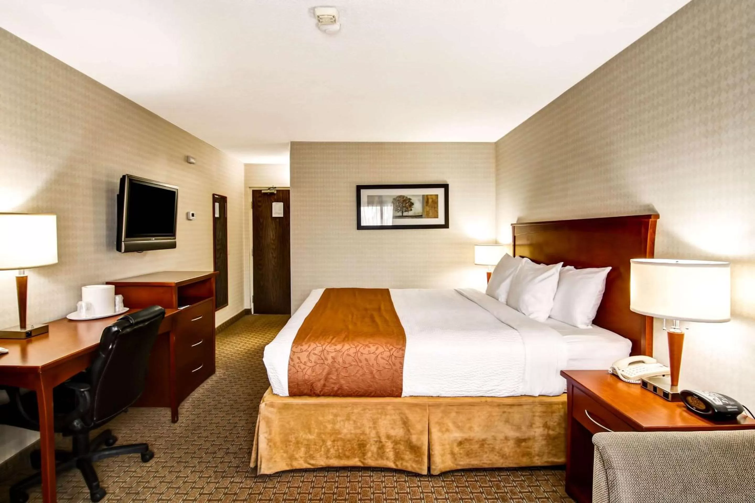 Photo of the whole room, Bed in Quality Inn