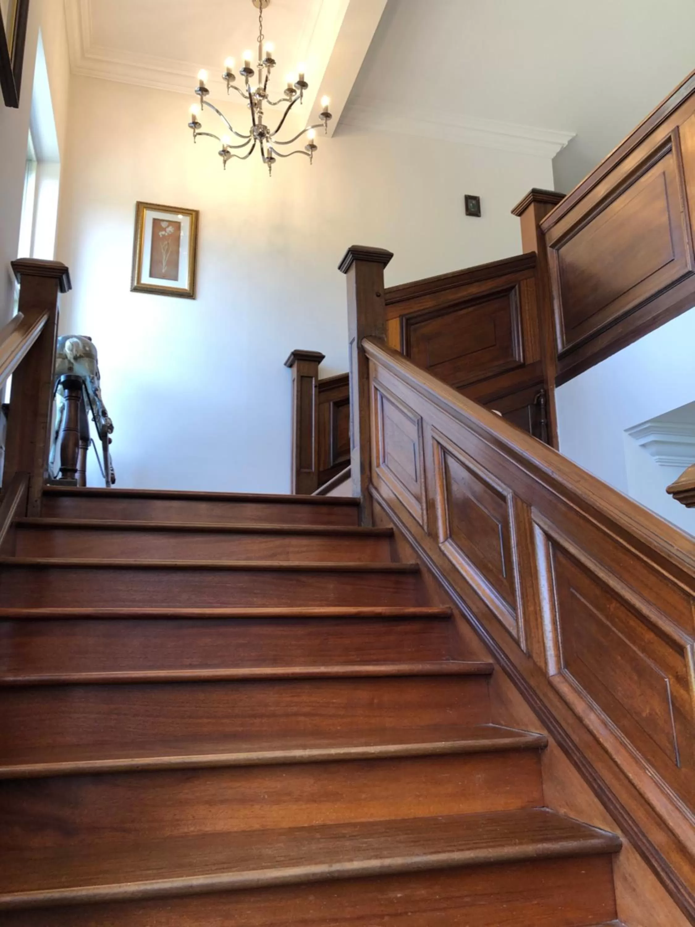 Other in Lillium House