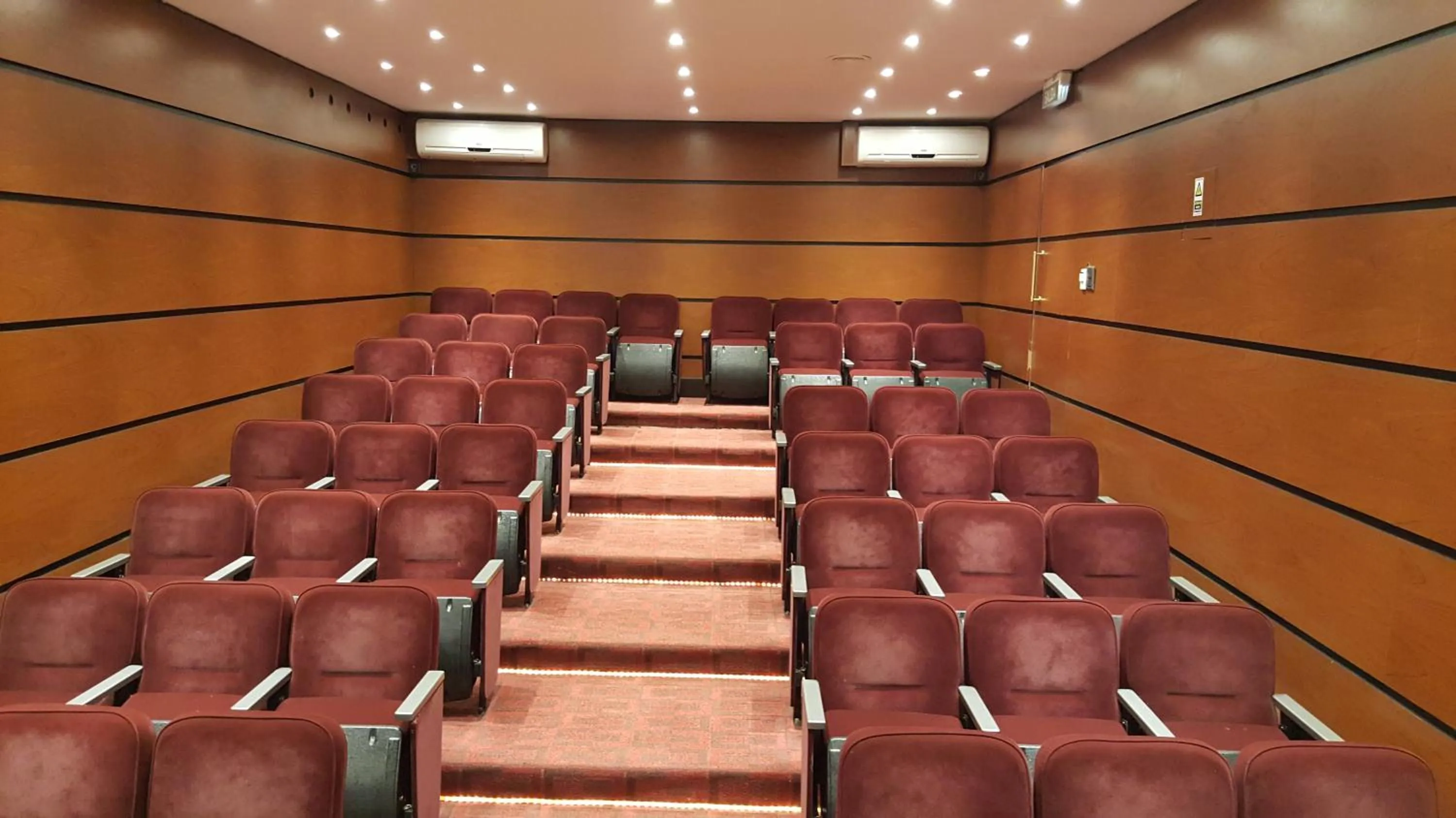 Business facilities in Hotel Viñas del Sol