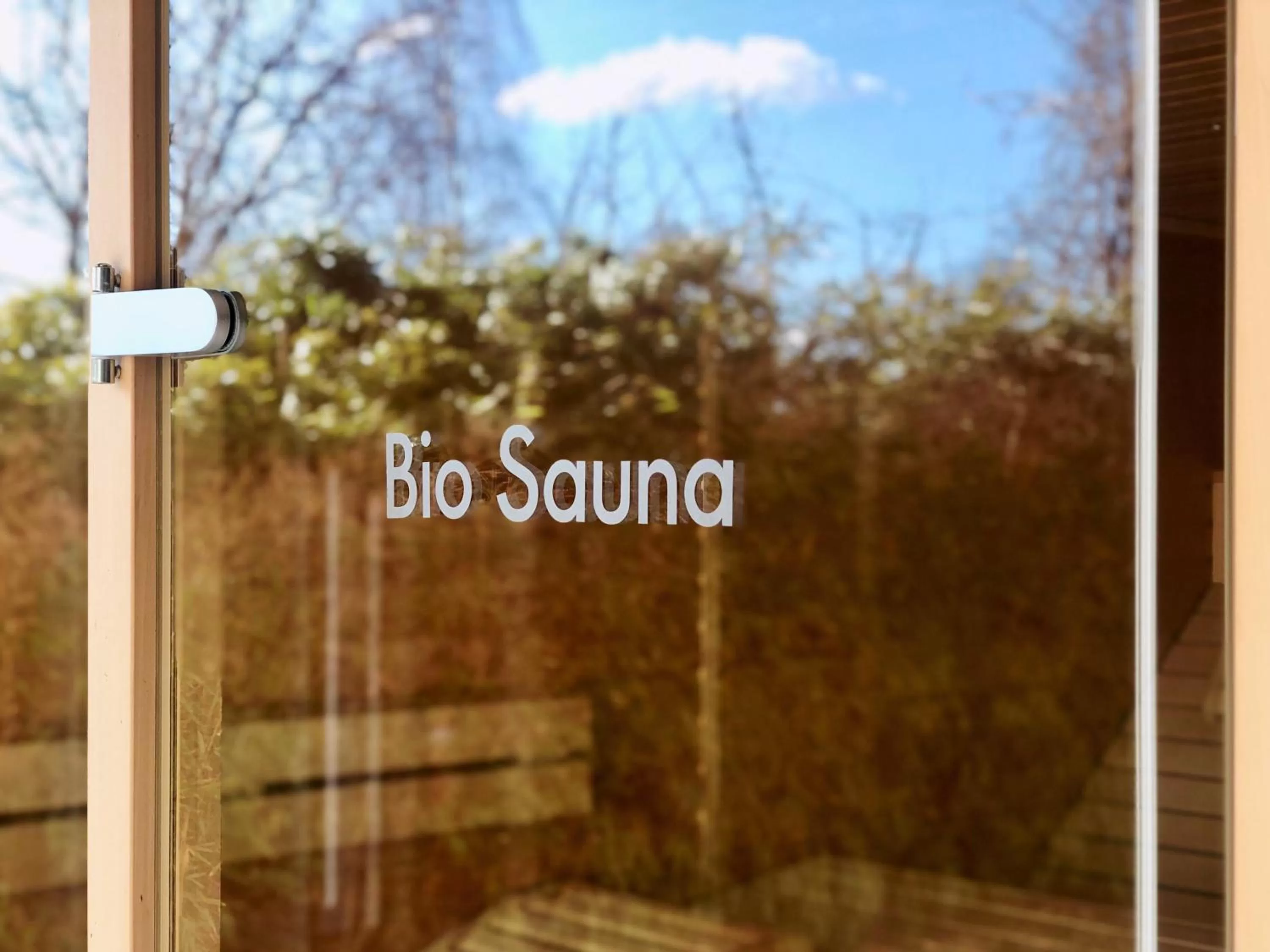 Garden in Hotel Momentum