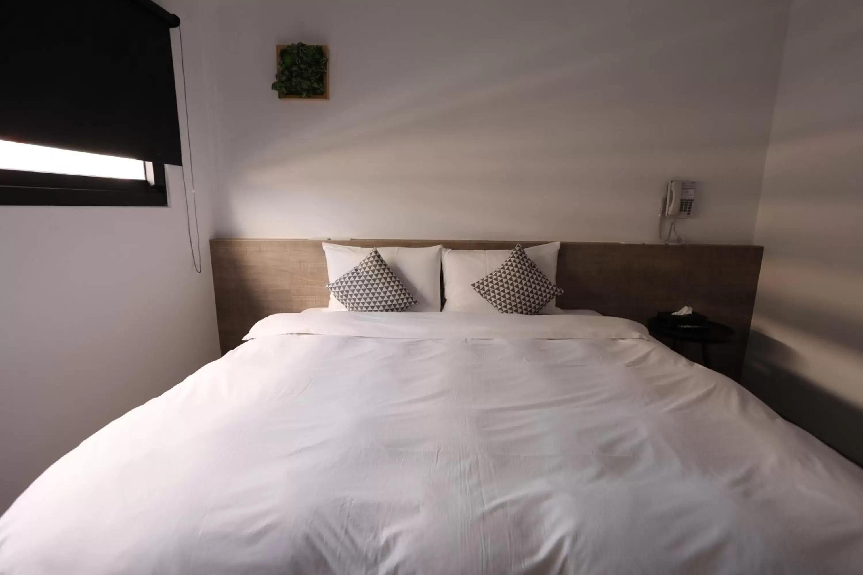 Standard Queen Room in Wountain Hotel Standard Queen Room in Wountain Hotel