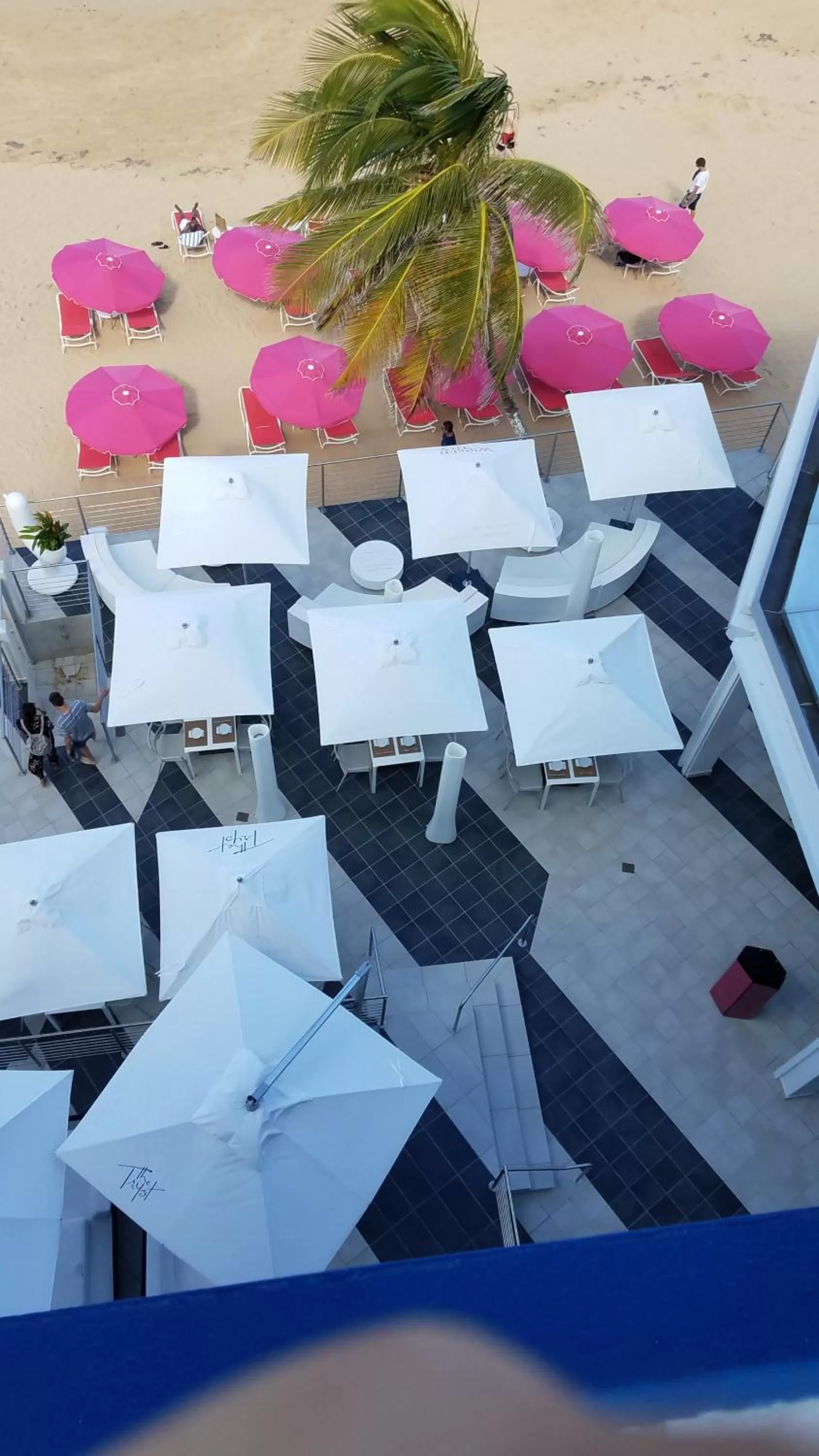 Beach in The Tryst Beachfront Hotel