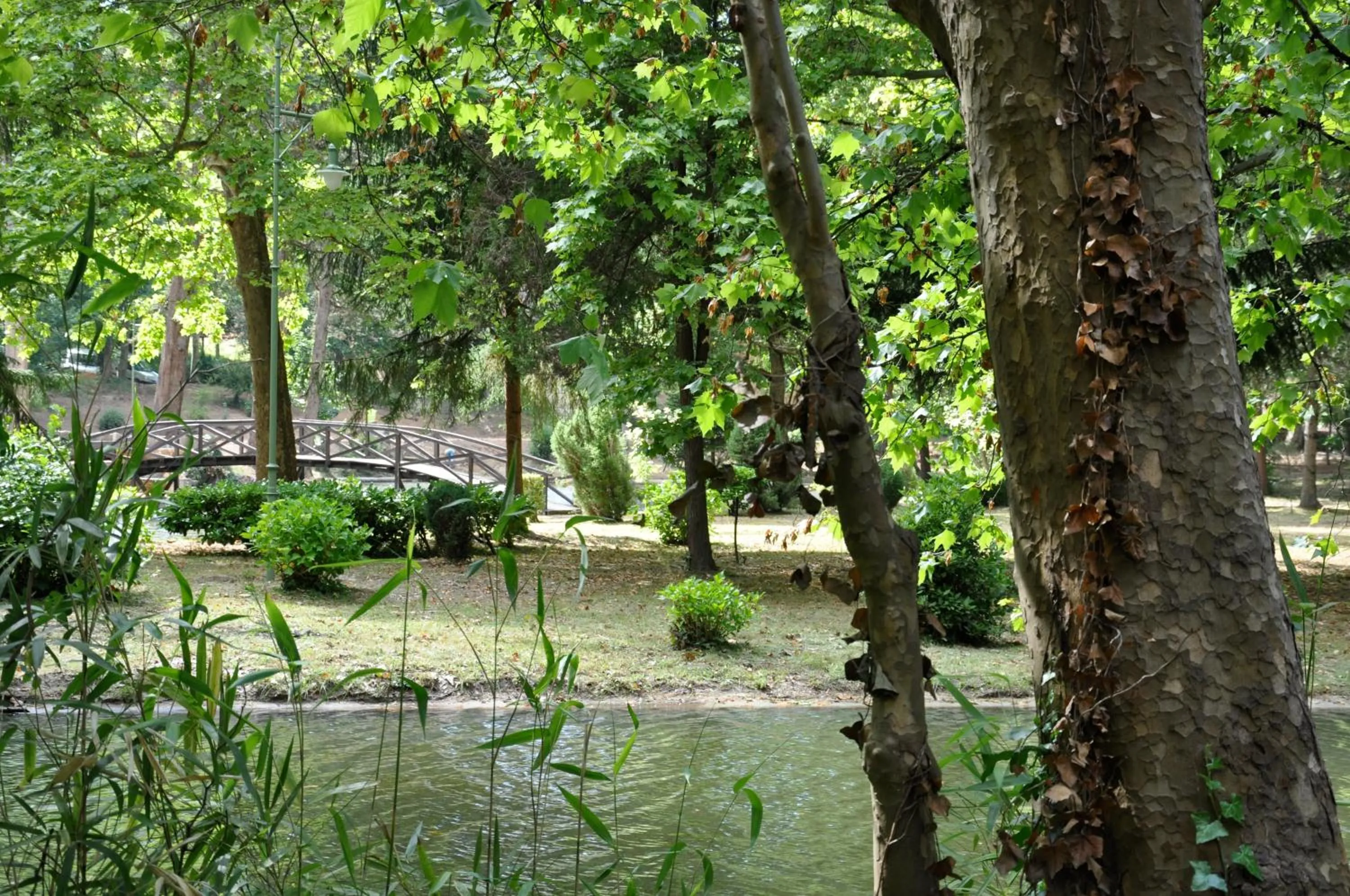 Garden in Vidago Palace