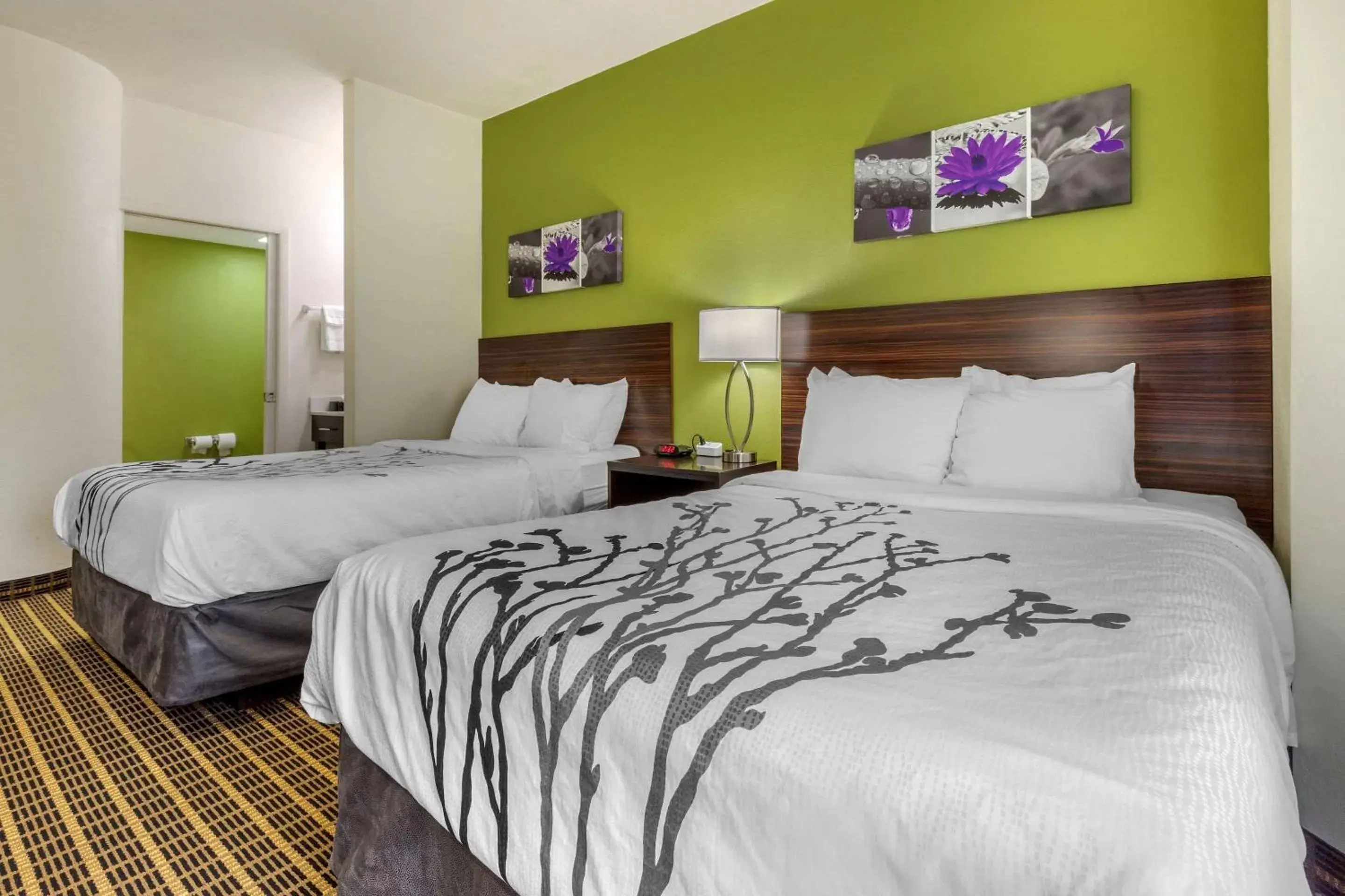 Double Room with Two Double Beds - Non-Smoking in Sleep Inn Orangeburg Double Room with Two Double Beds - Non-Smoking in Sleep Inn Orangeburg