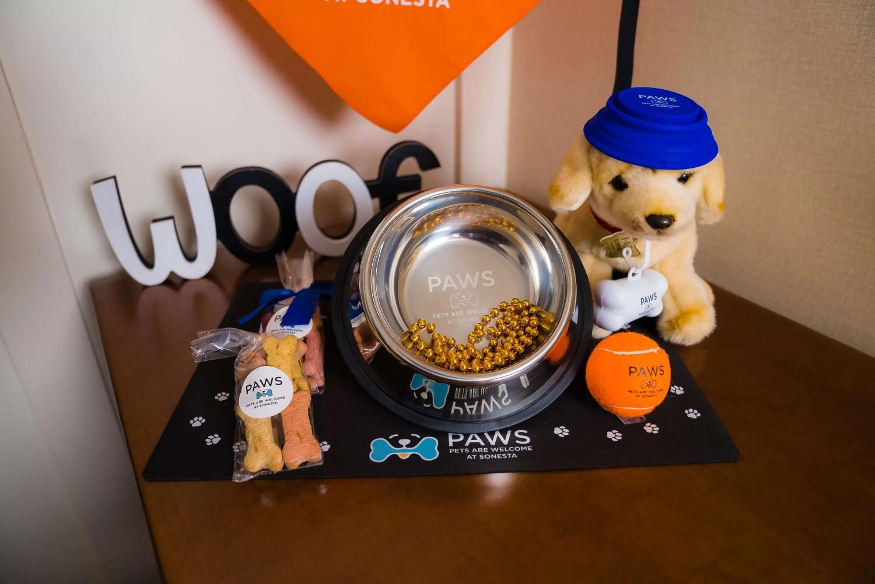 Pets in Sonesta Simply Suites Clearwater