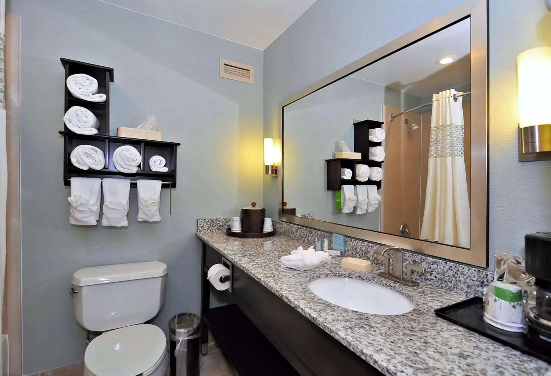 Bathroom in Hampton Inn Eden