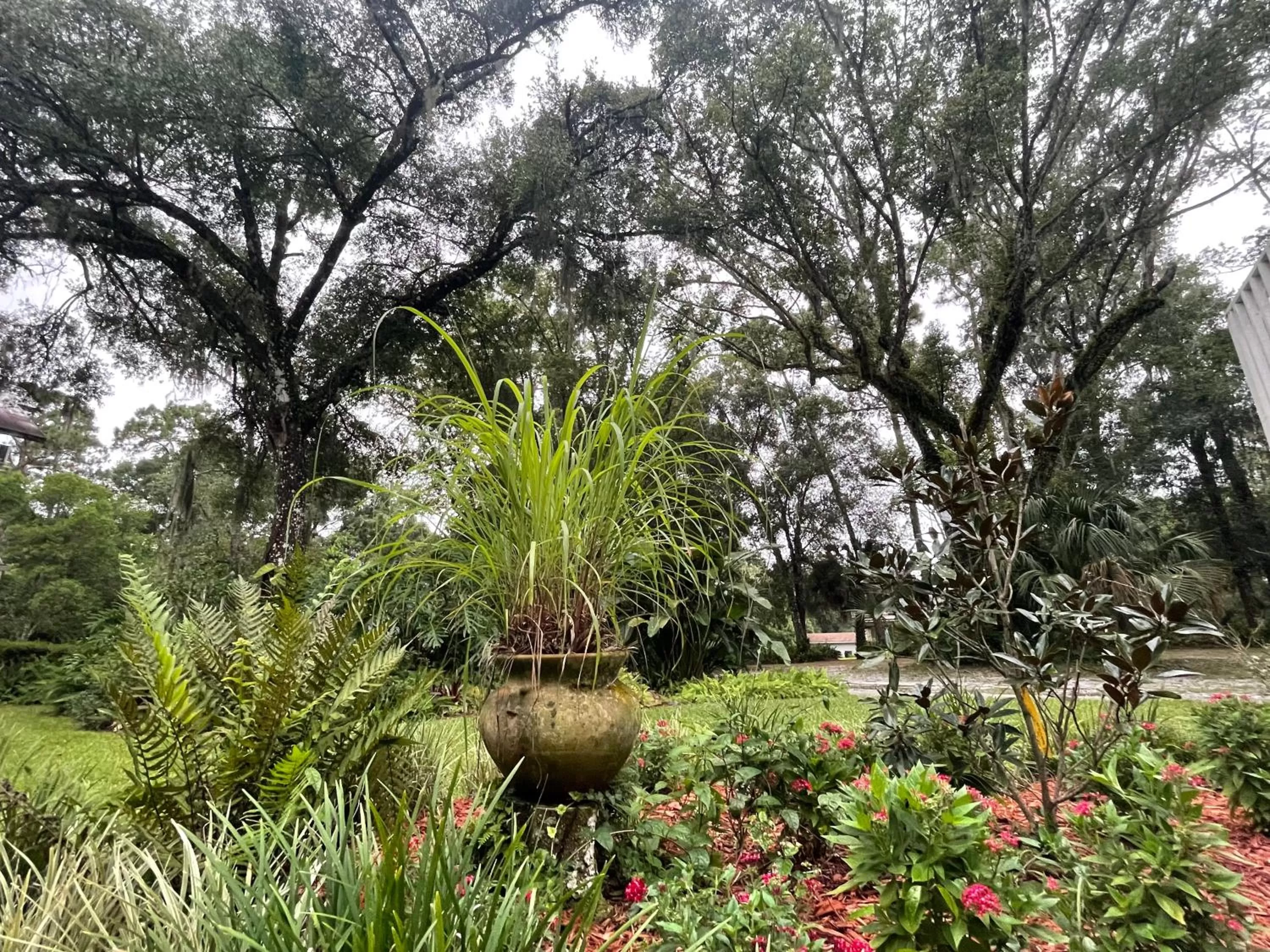 Garden view in The Ann Stevens House