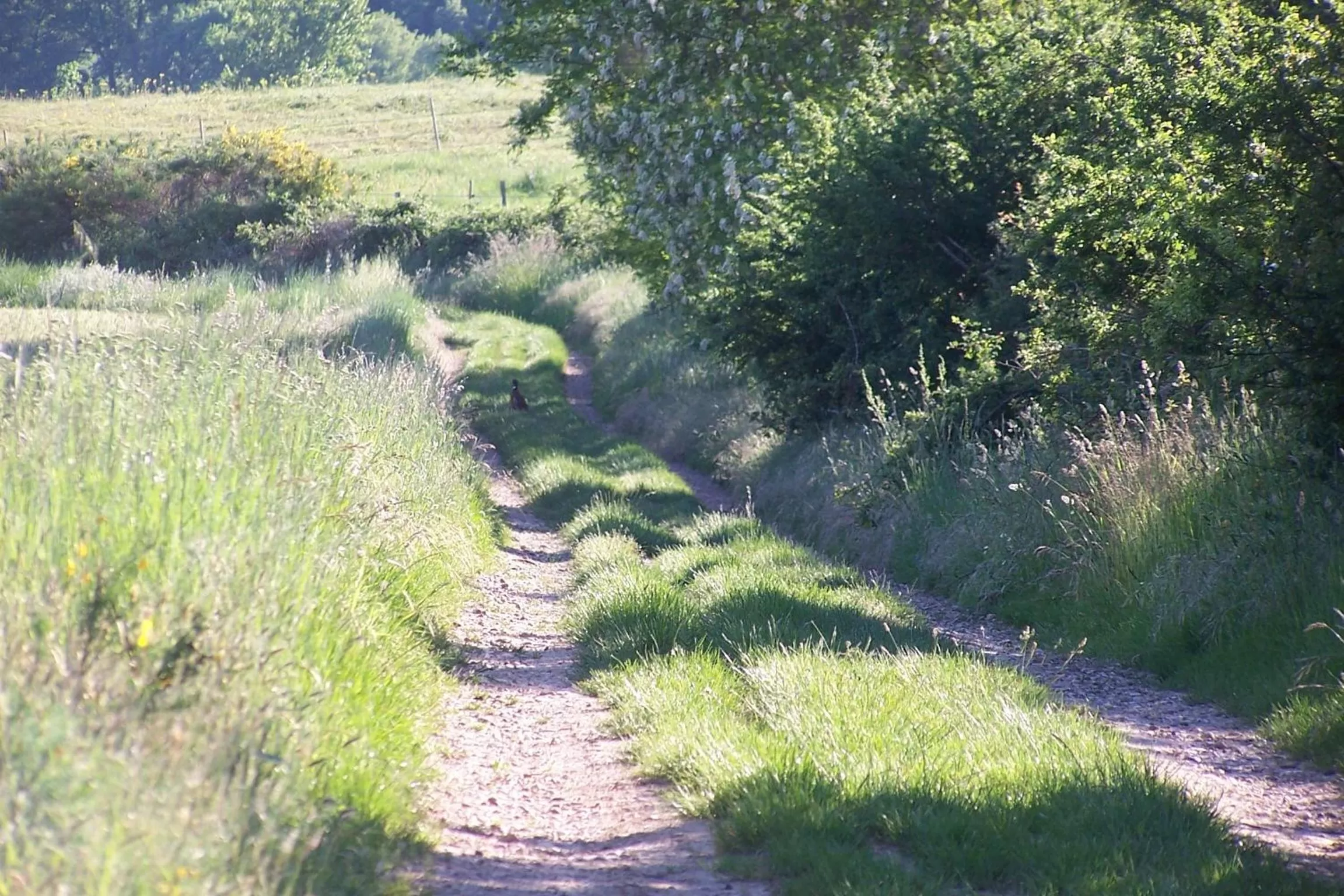 Summer in Chambre d'Hôtes Le Moulin d'Encor