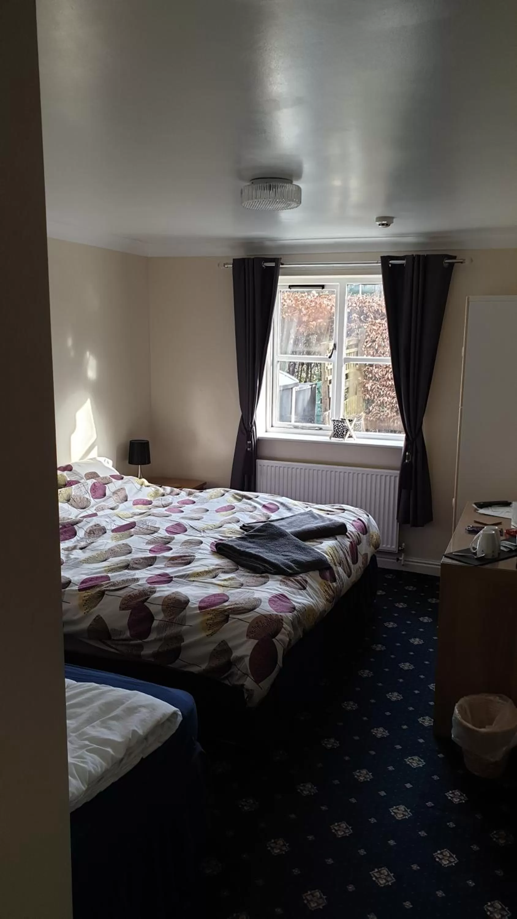 Bed in Trem Hyfryd B&B