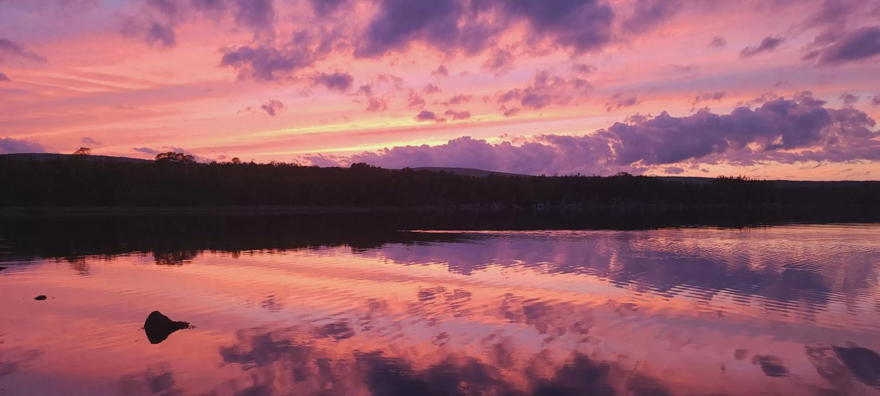 St Ann's Motel & Cottage
