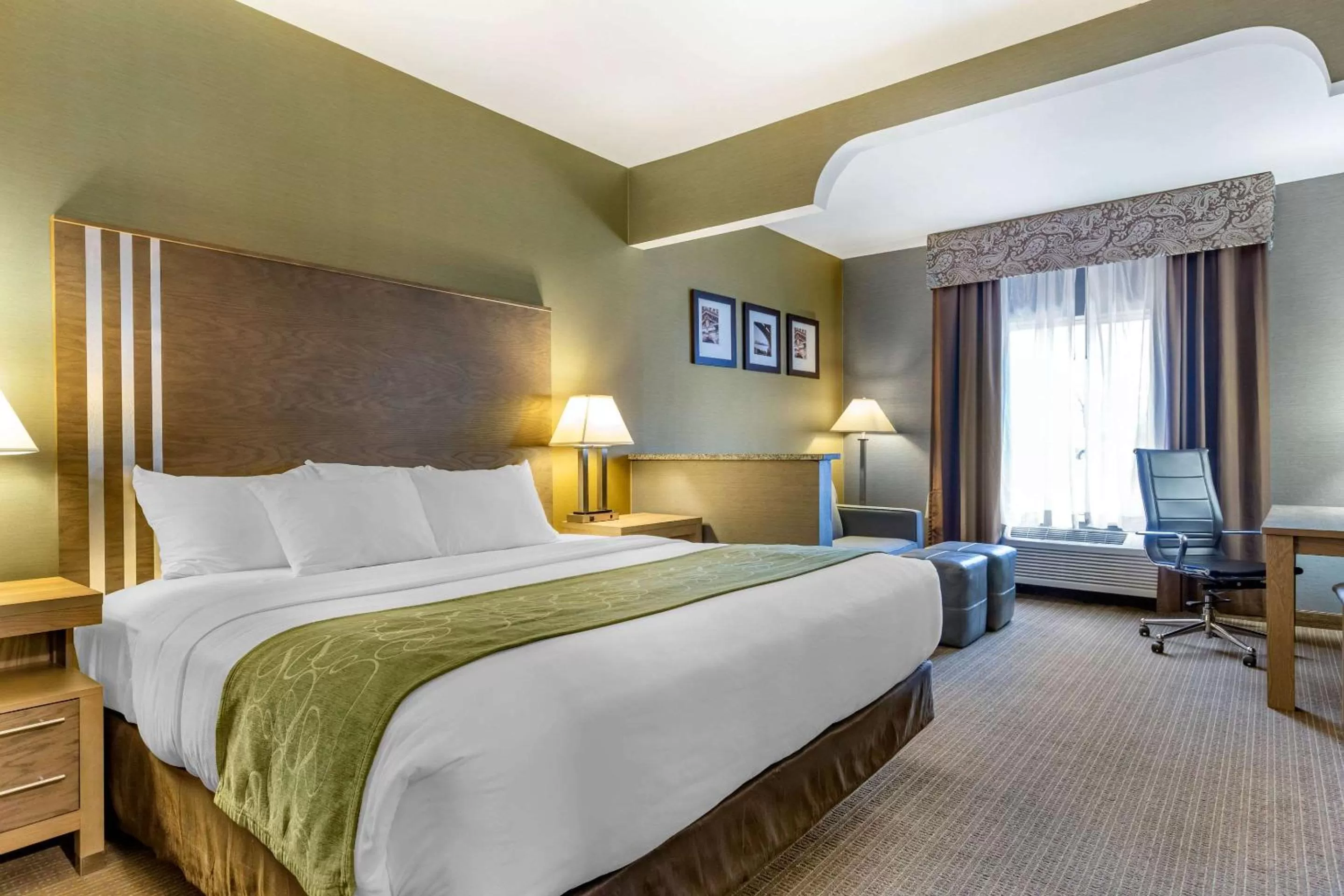 Photo of the whole room, Bed in Comfort Suites Southgate-Detroit