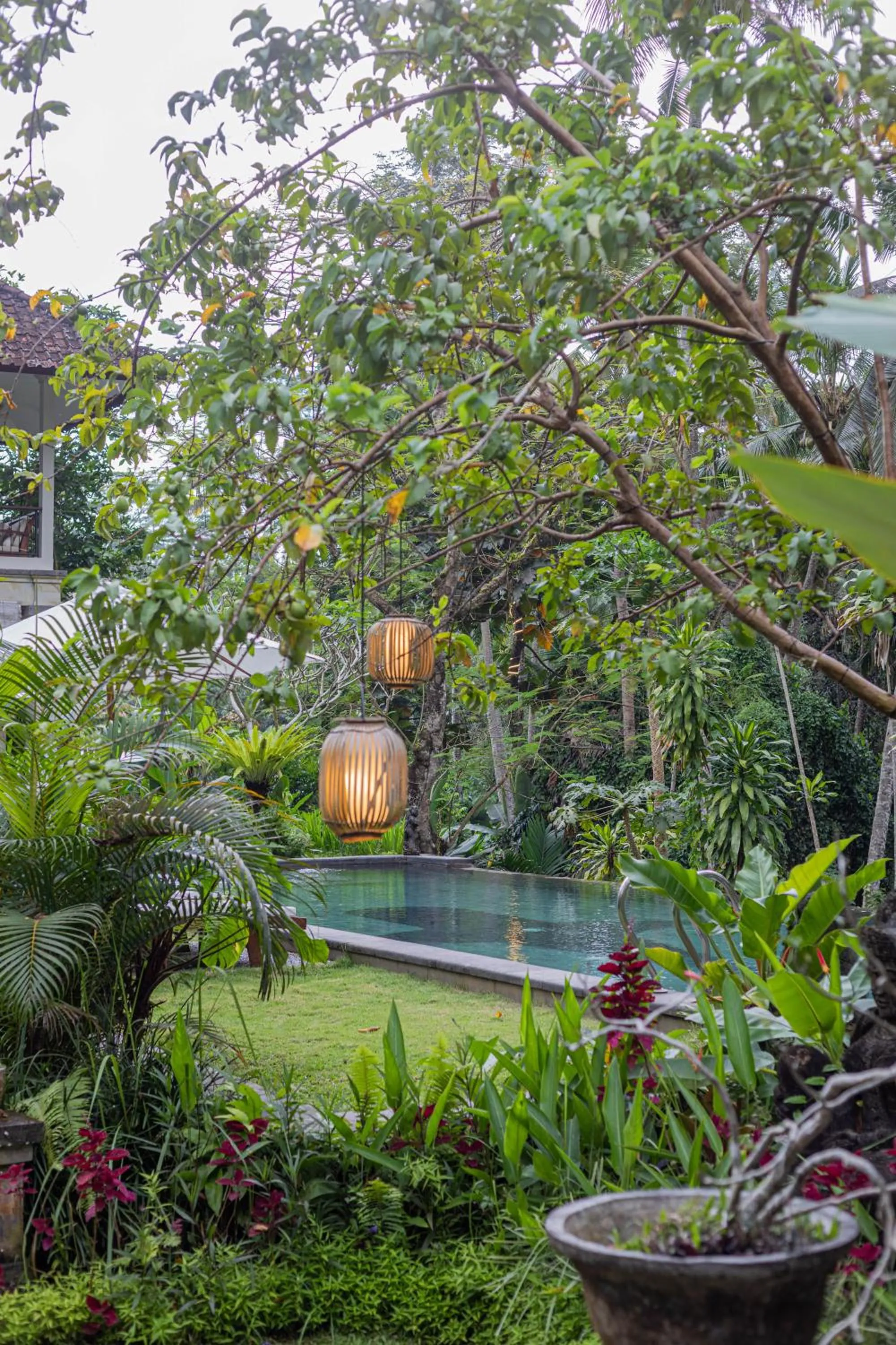 Natural landscape in Suara Air Luxury Villa Ubud