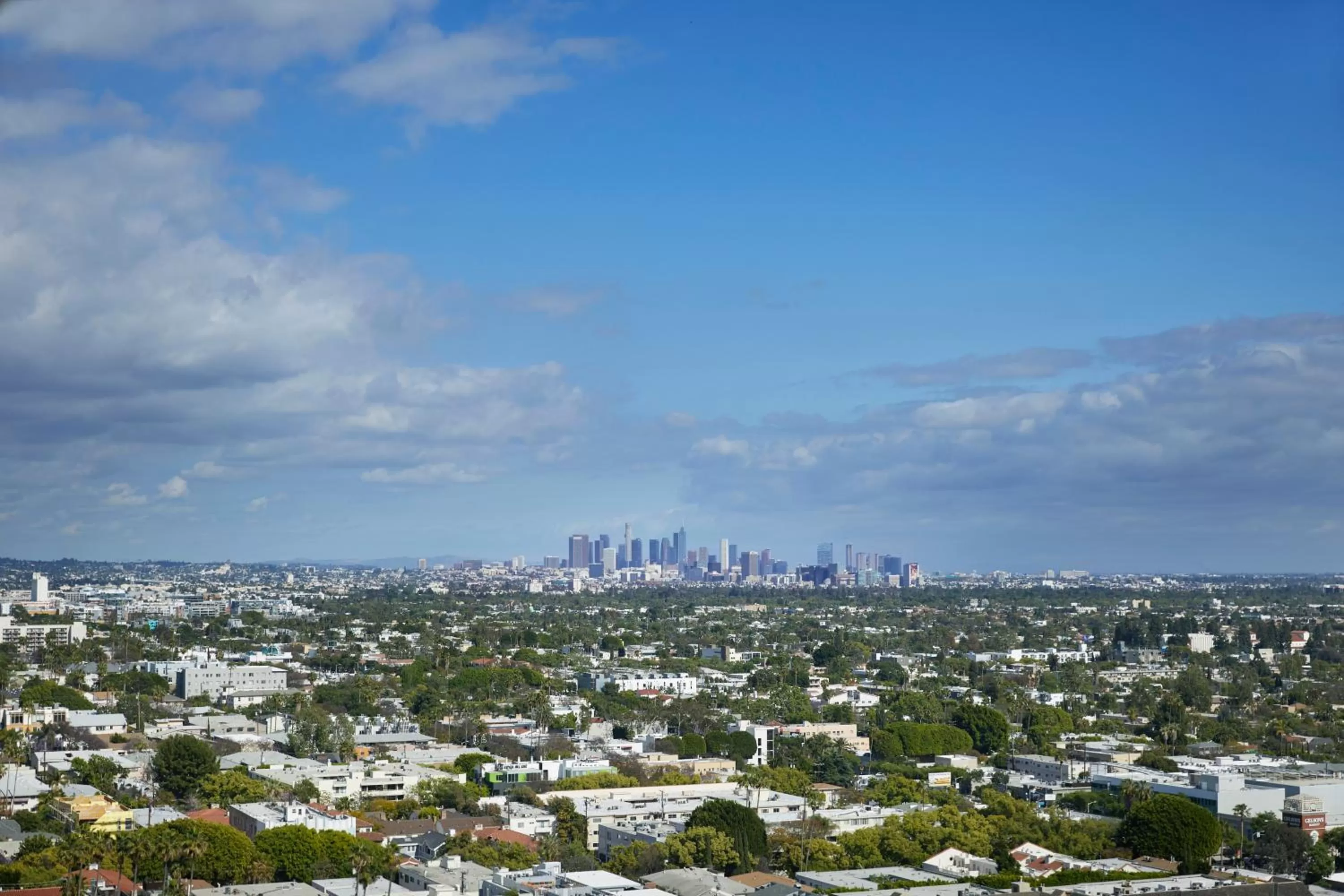 View (from property/room) in 1 Hotel West Hollywood