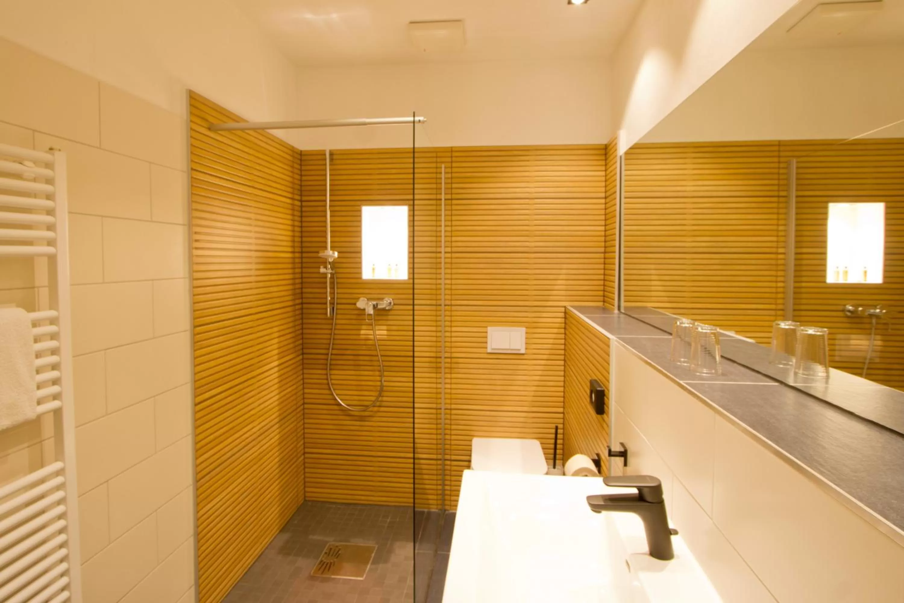 Shower in Hotel Schweriner Hof