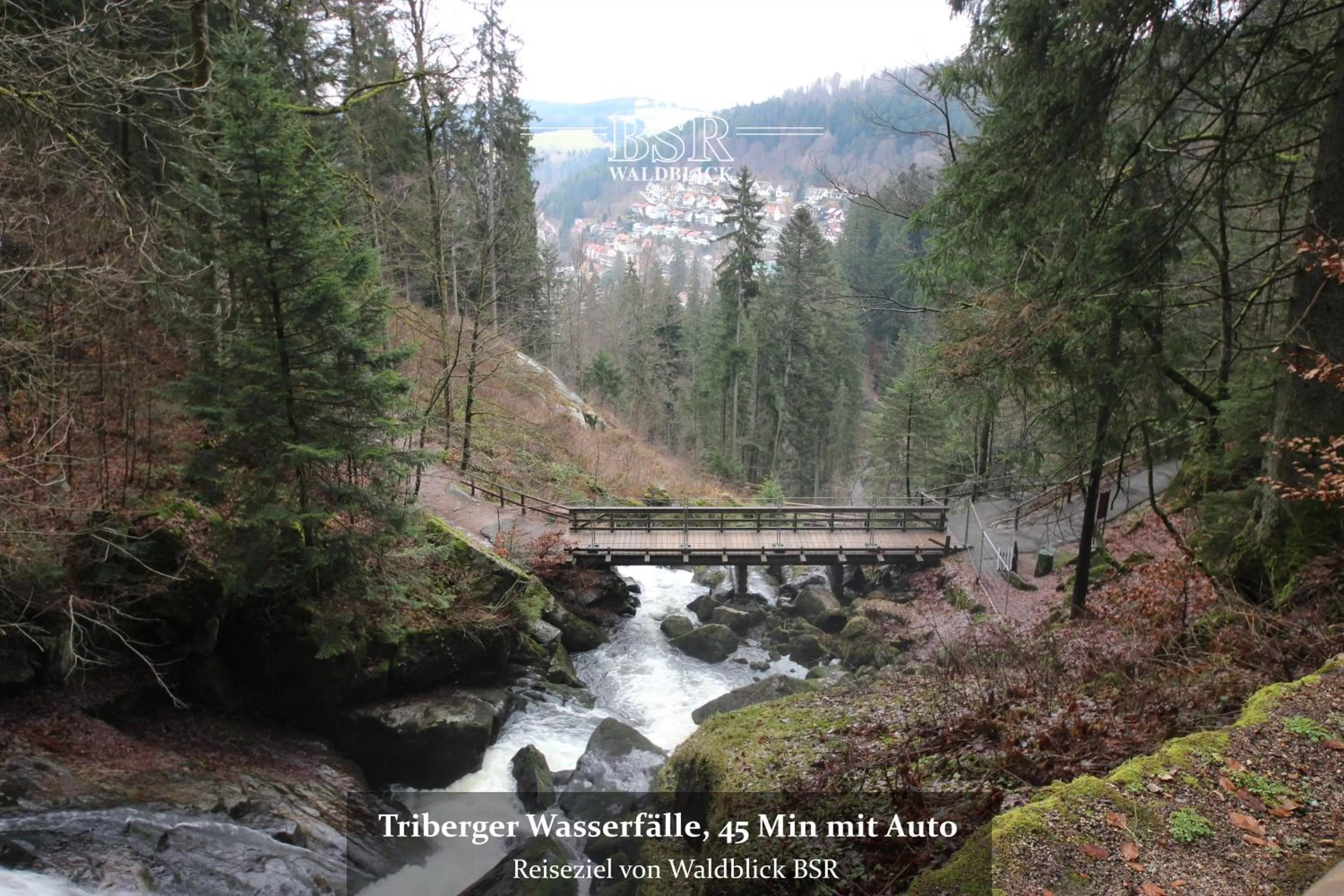 Nearby landmark, Natural Landscape in Hotel Waldblick