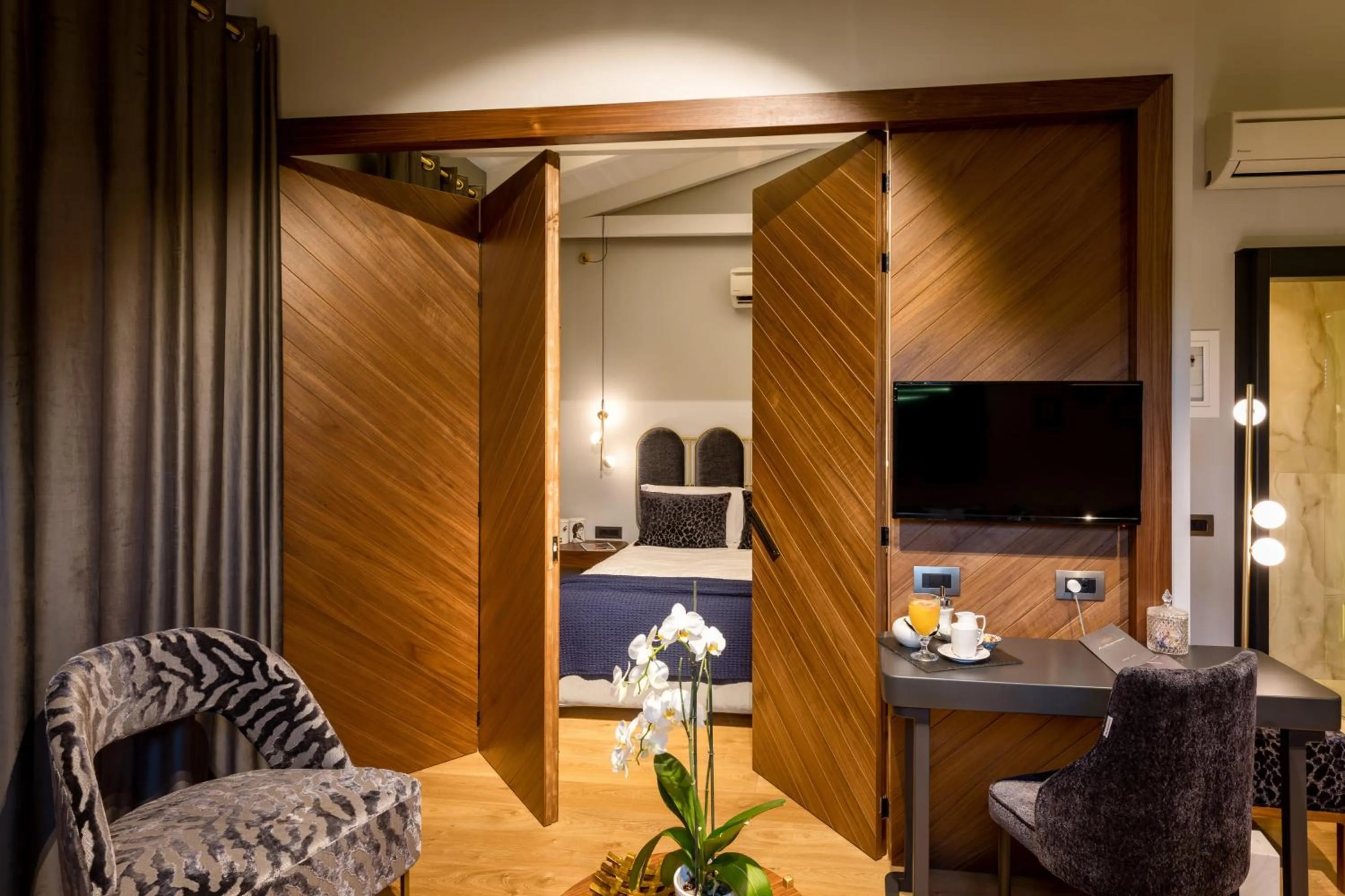 TV and multimedia in Anthemion Suites and Villas