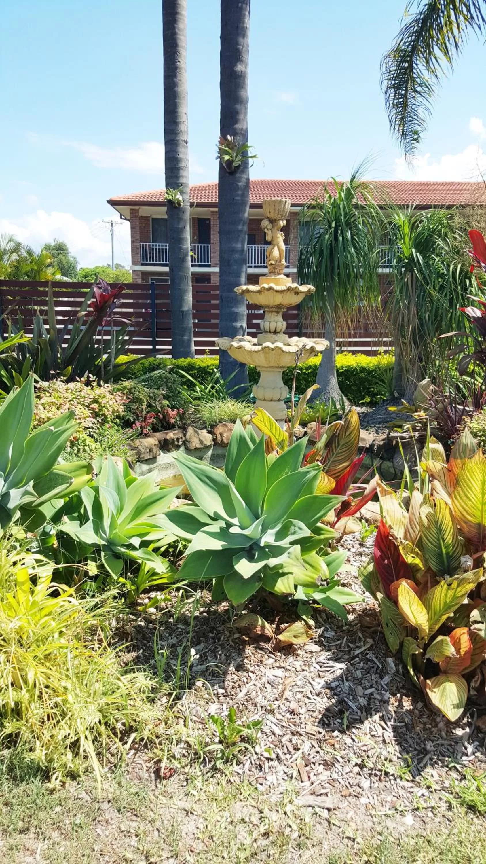 Day in Tuncurry Motor Lodge