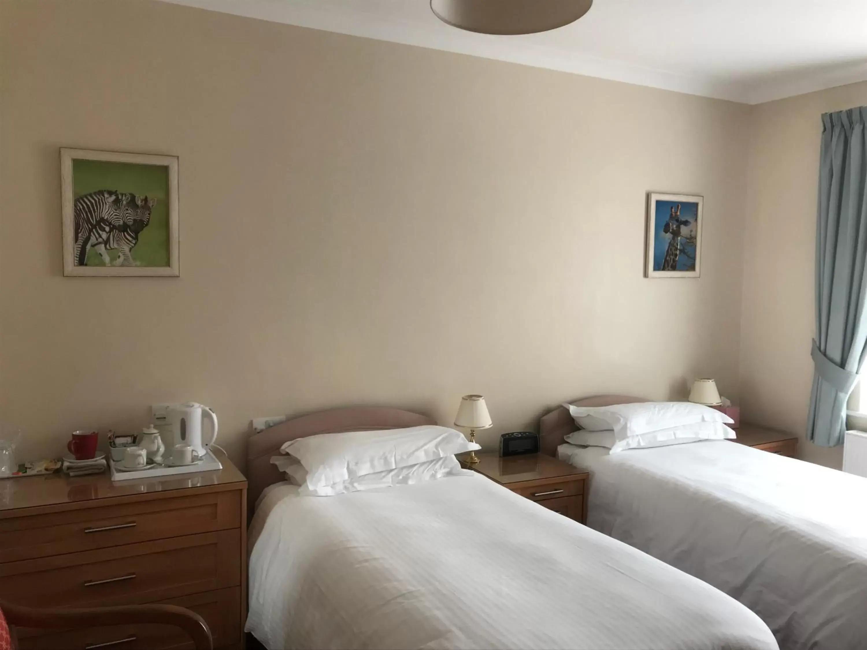 Standard Twin Room with Garden View - single occupancy in Merton House Standard Twin Room with Garden View - single occupancy in Merton House