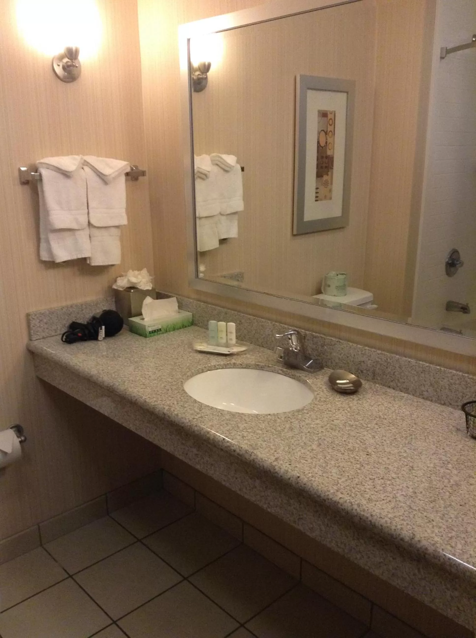 Bathroom in Holiday Inn - Indianapolis Downtown by IHG
