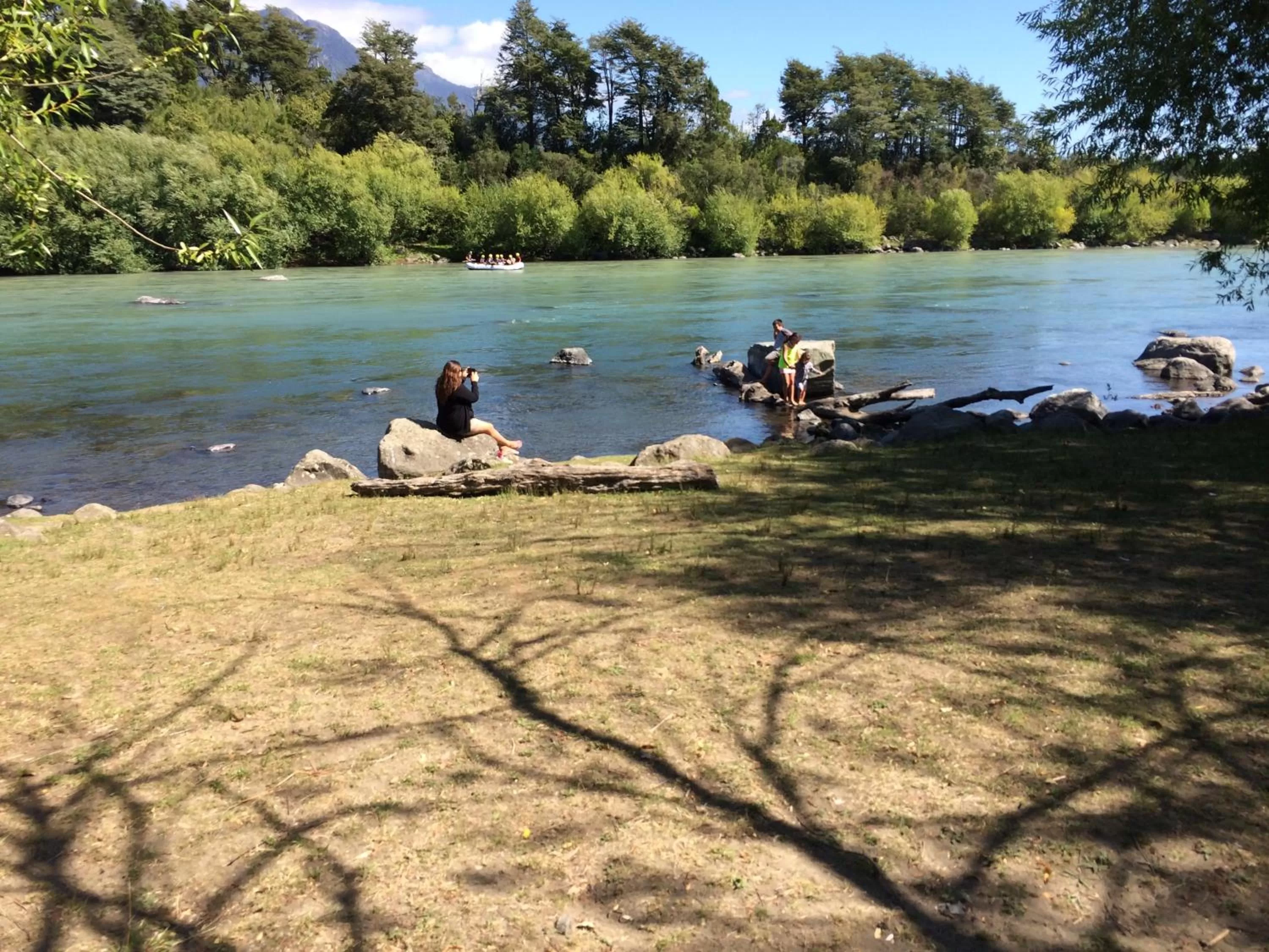 Natural landscape in Hotel Malalhue