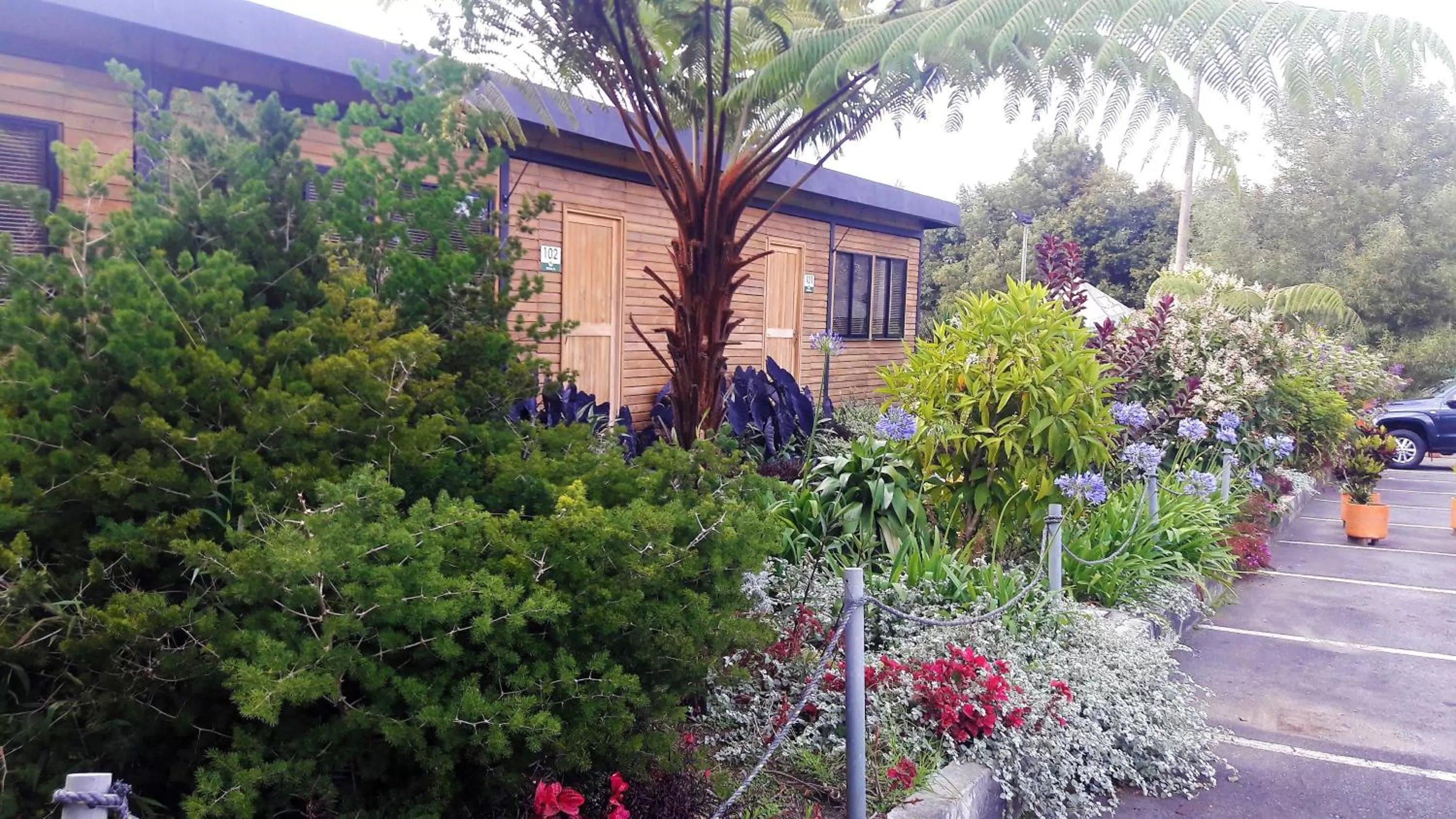 Garden, Property Building in ALTO LODGING Centro de Entrenamiento Deportivo y Negocios, a 2 pasos del Aeropuerto JMC, Transporte Incluido
