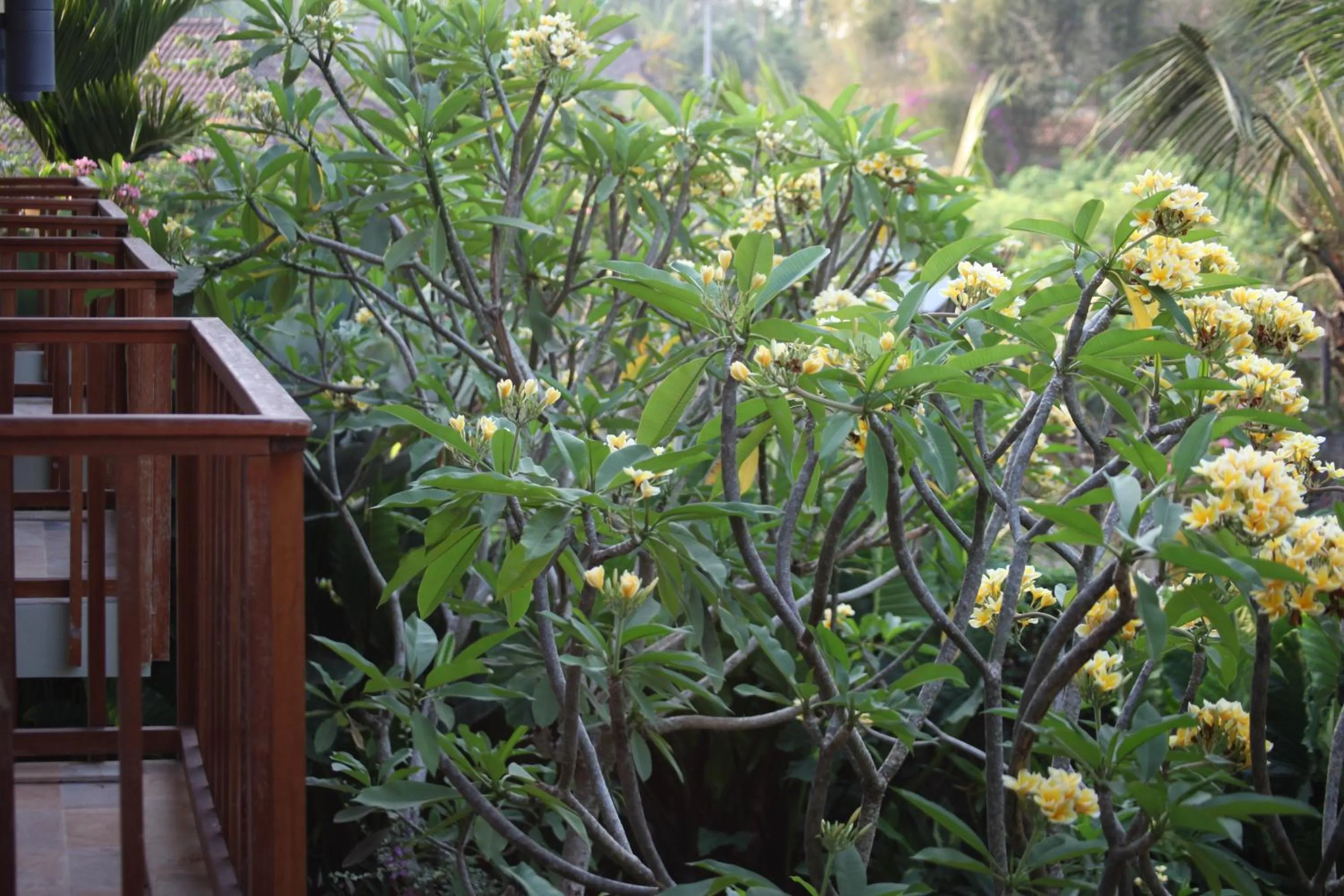 Balcony/Terrace in Ubud Wana Resort